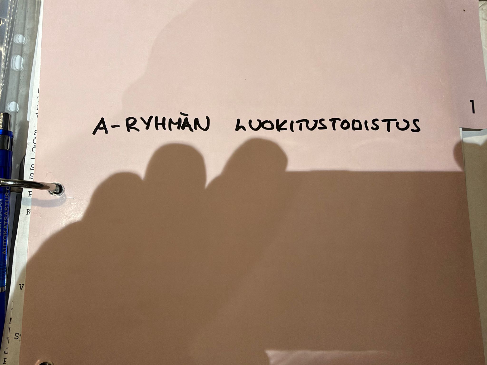 Image 12/12