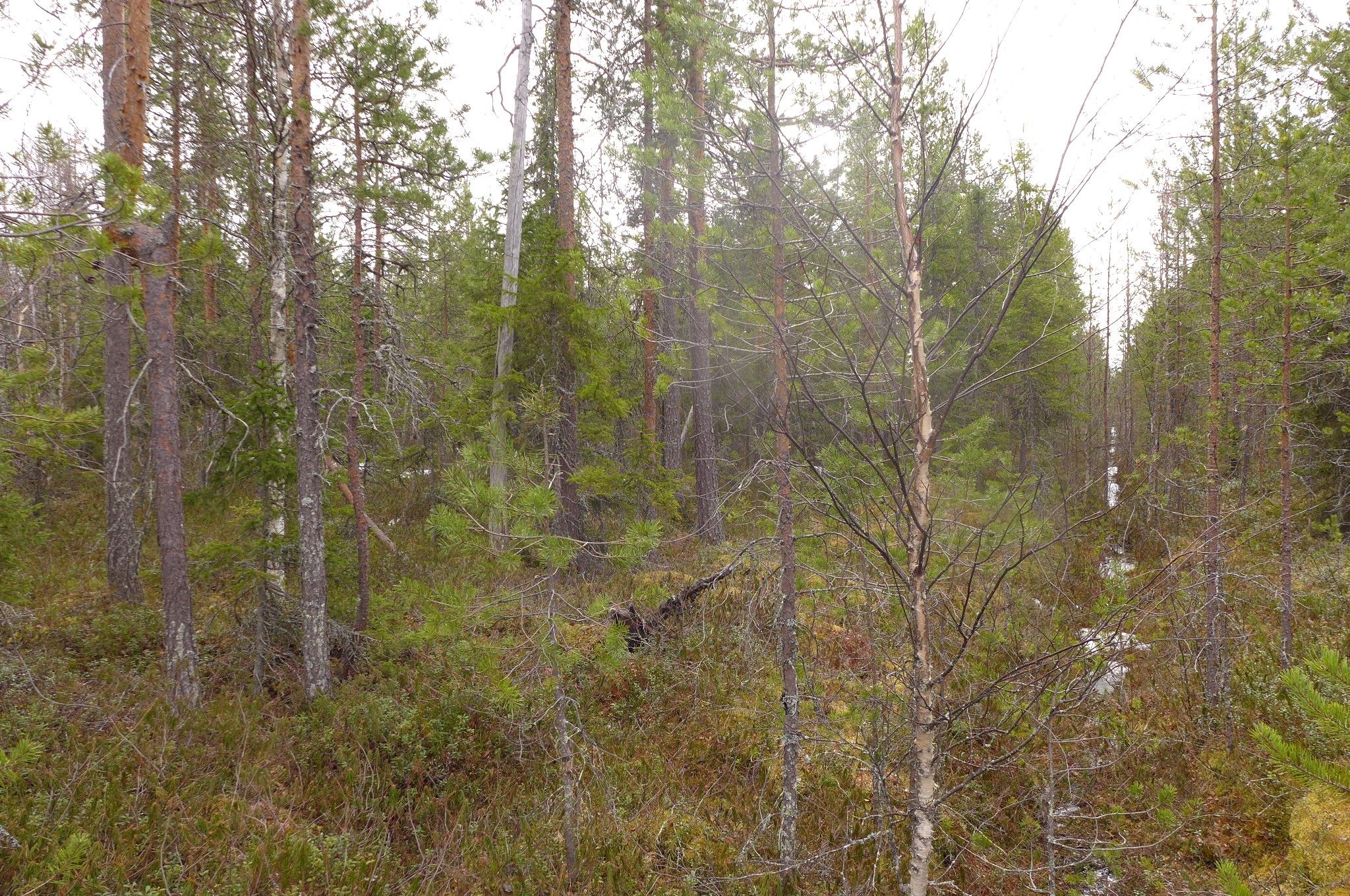 Image 5/24