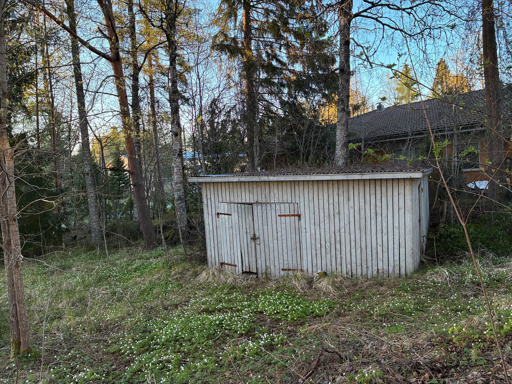 Kuva 45/45