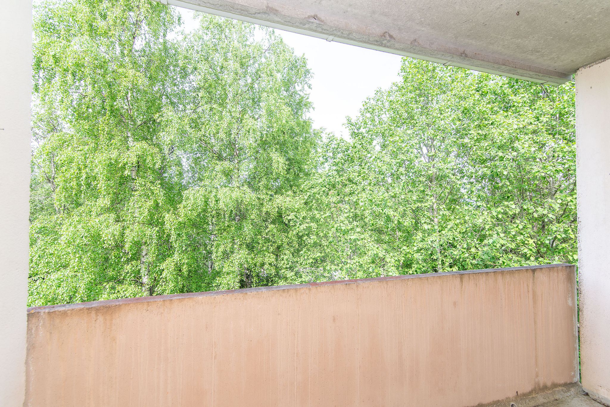 Image 9/22
