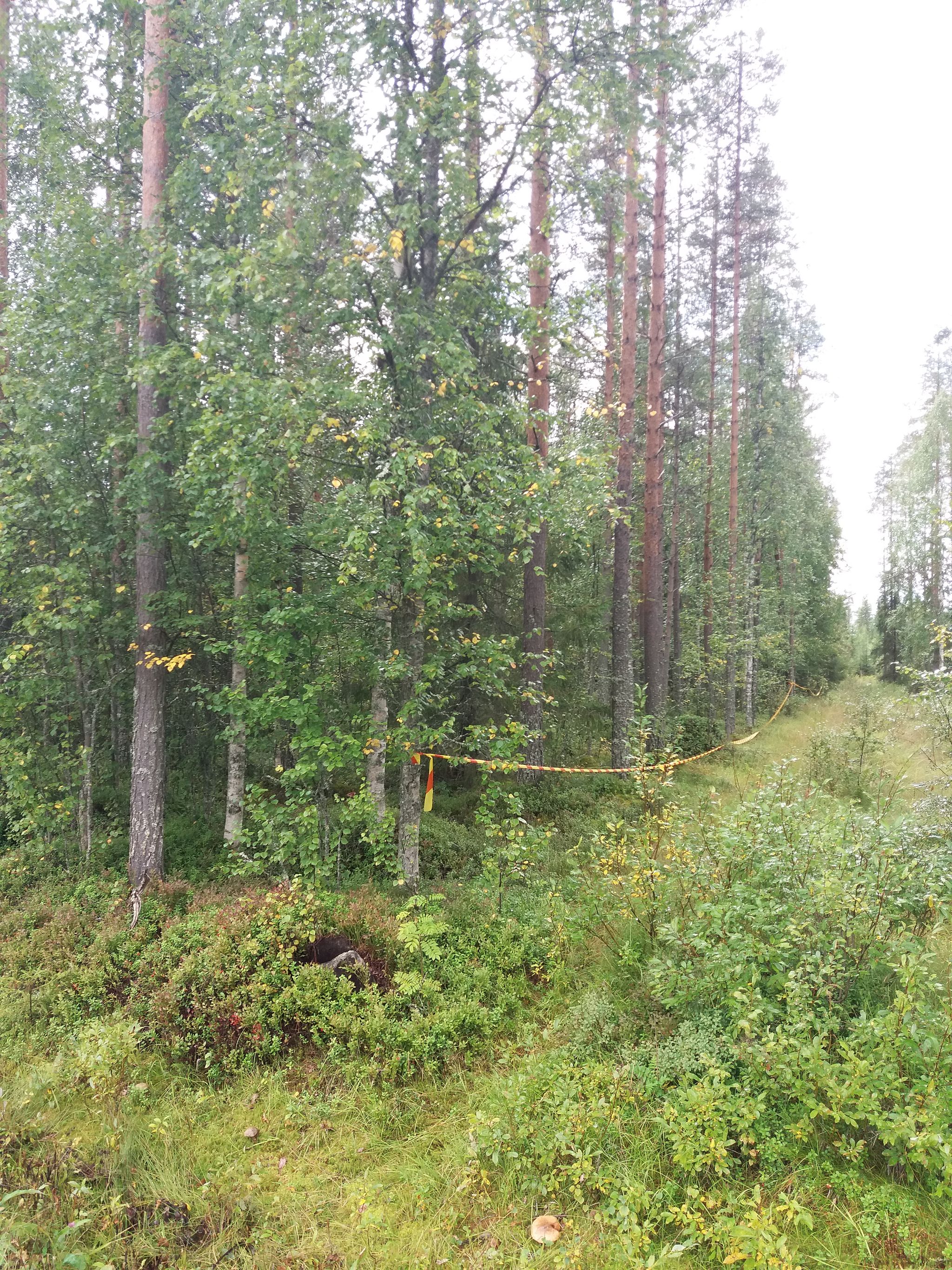 Image 12/21