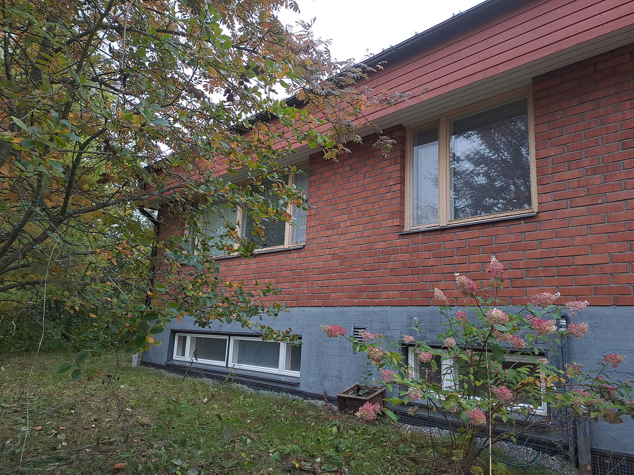 Image 6/66