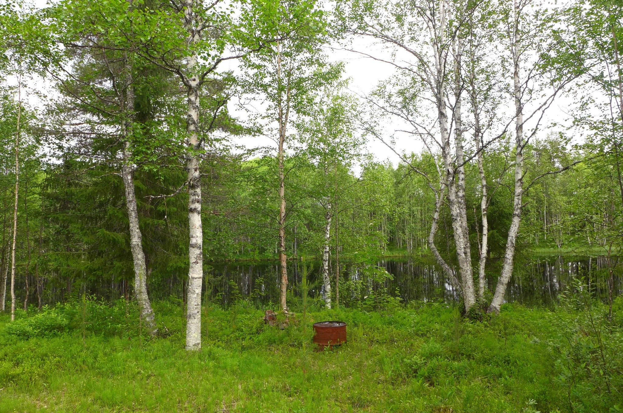 Image 44/51