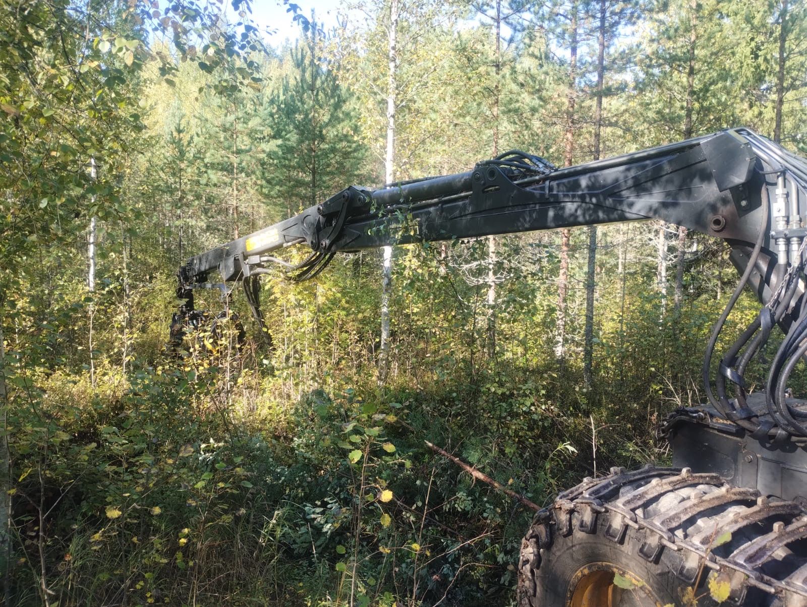 Image 10/21