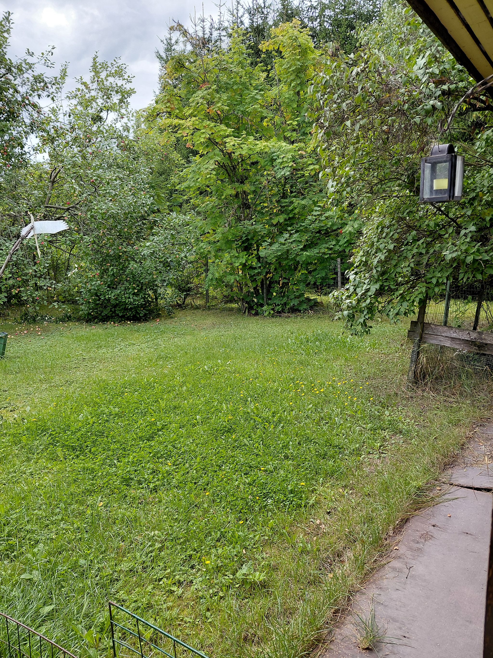Image 33/33