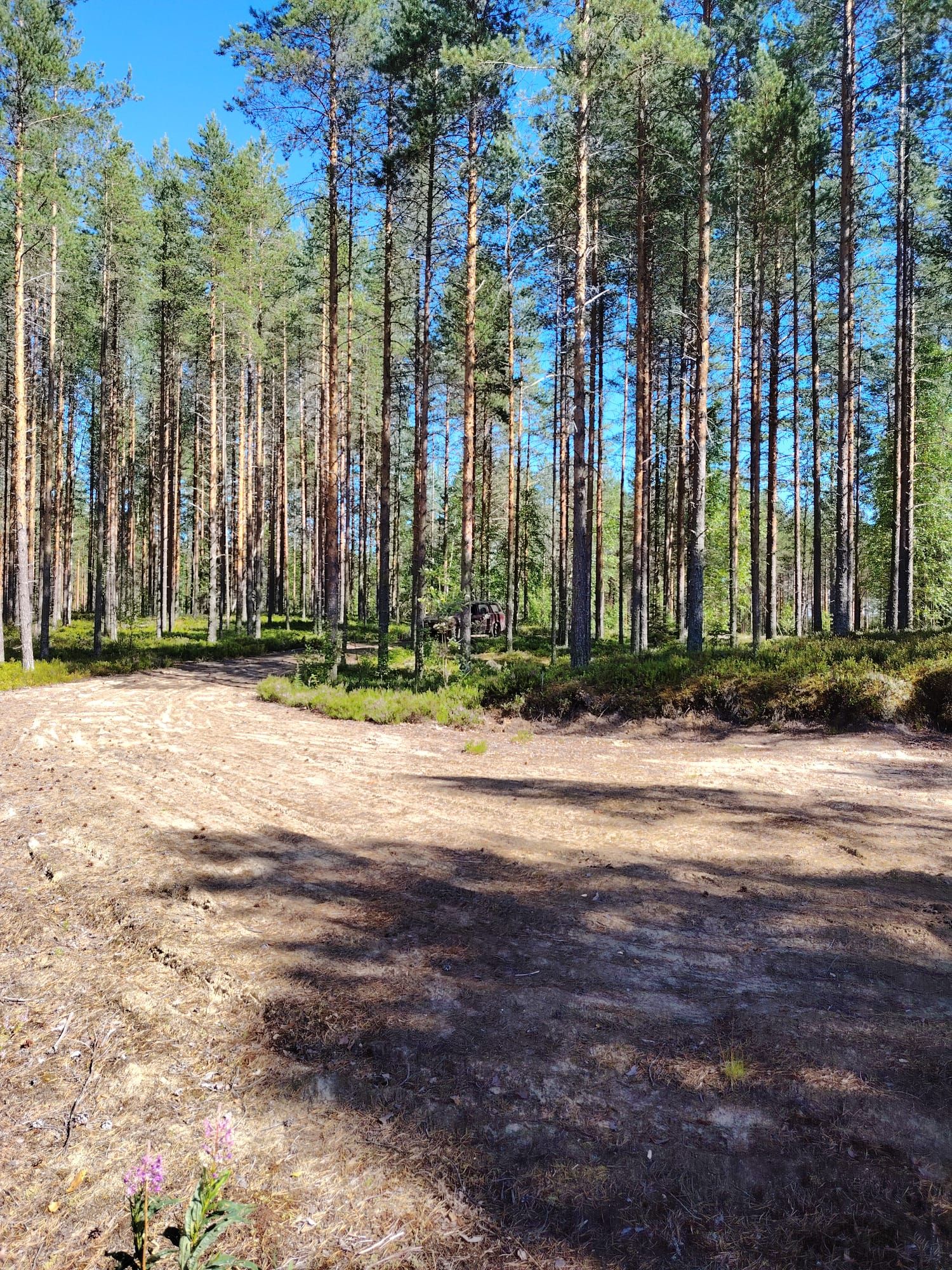 Image 4/7
