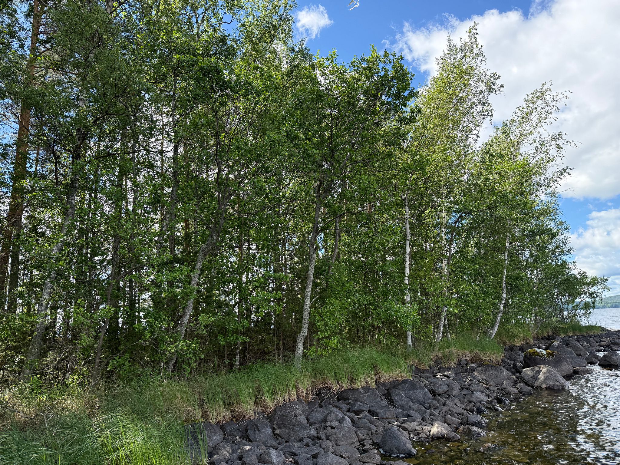 Image 12/31