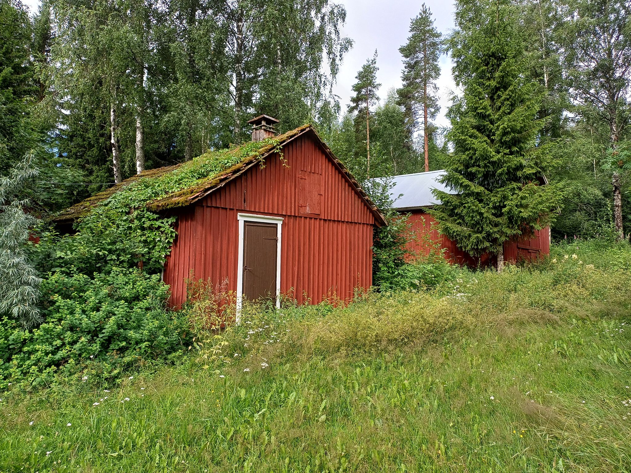 Image 19/23