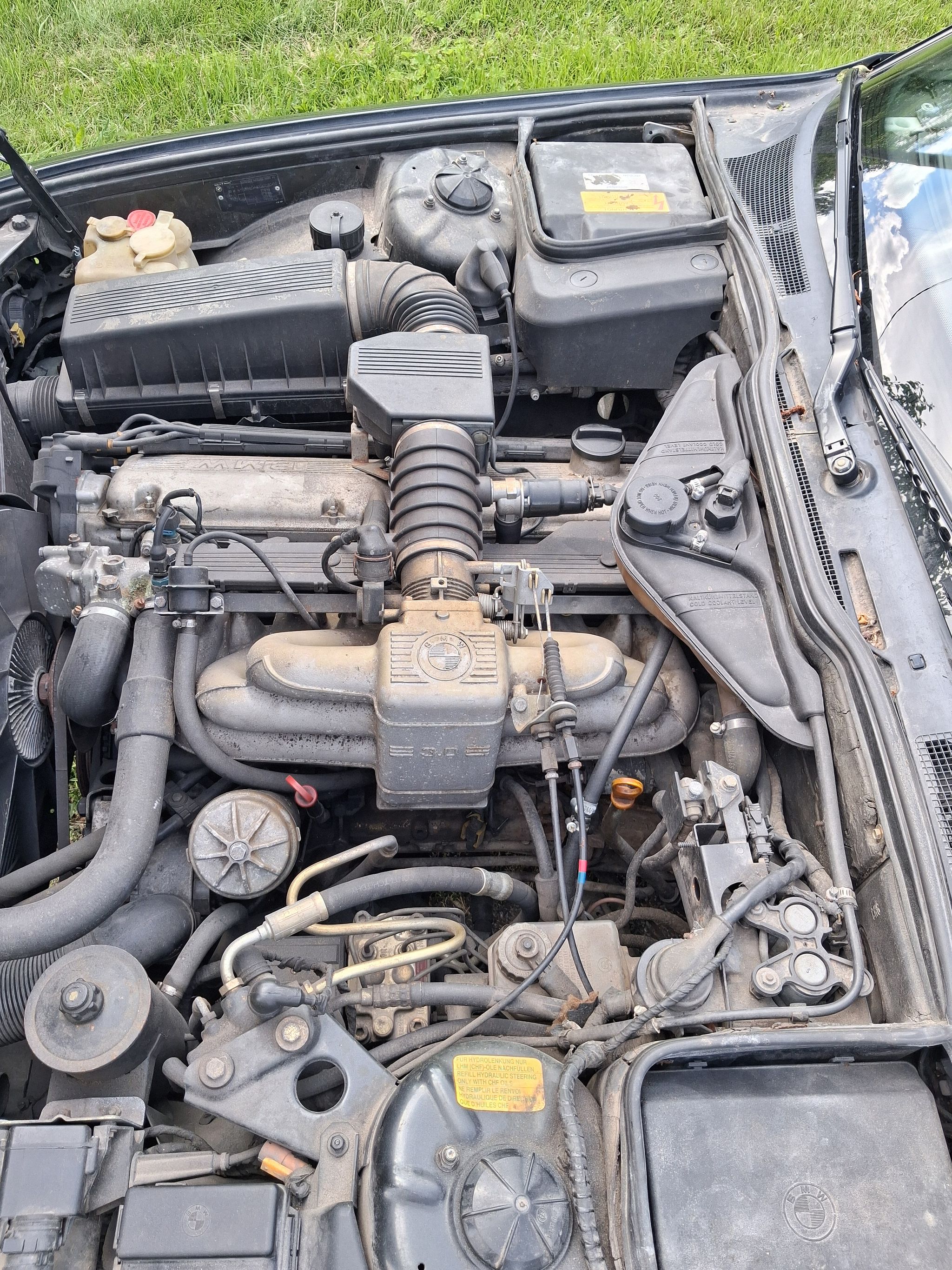 Image 3/24