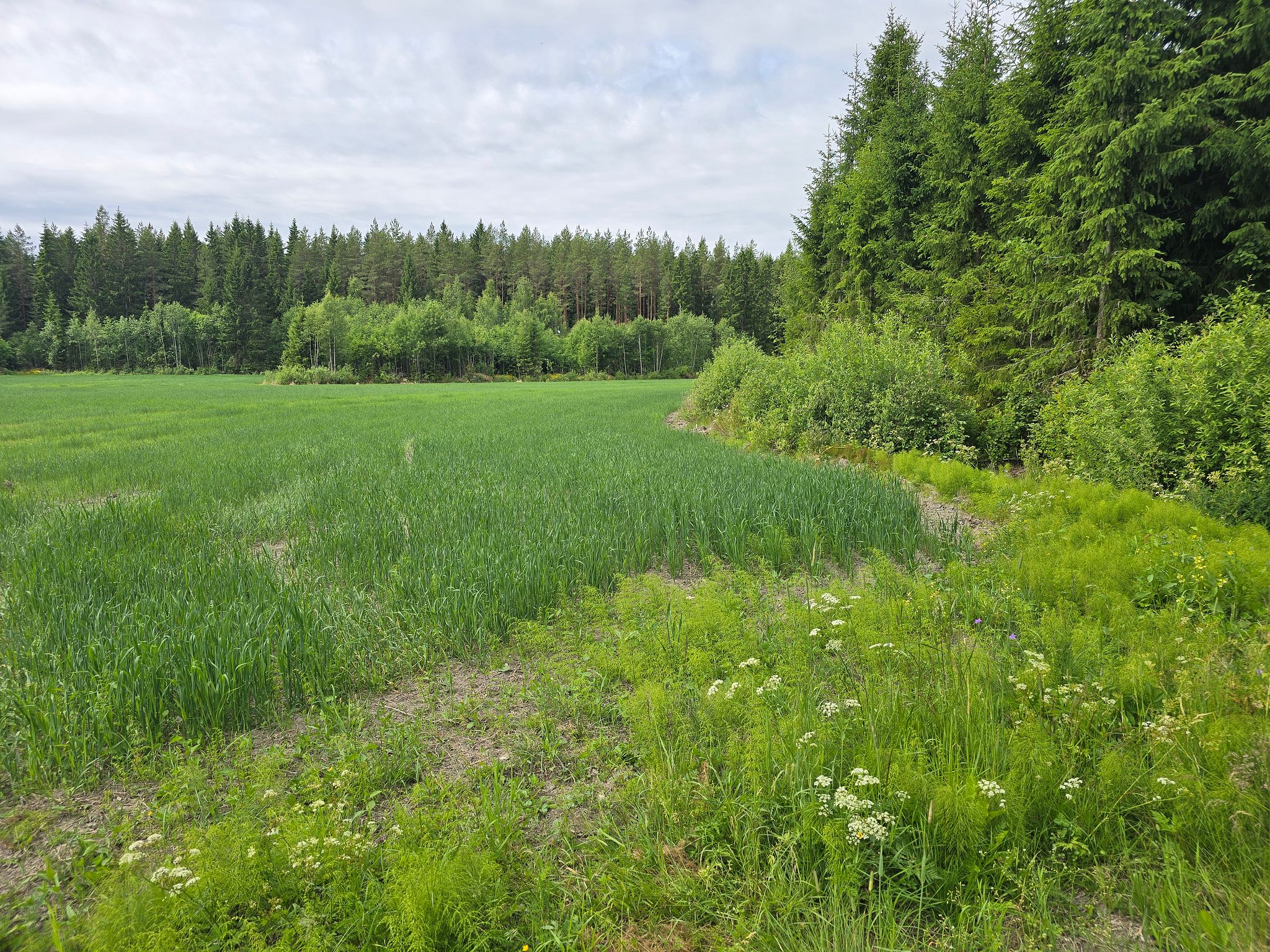 Image 11/20