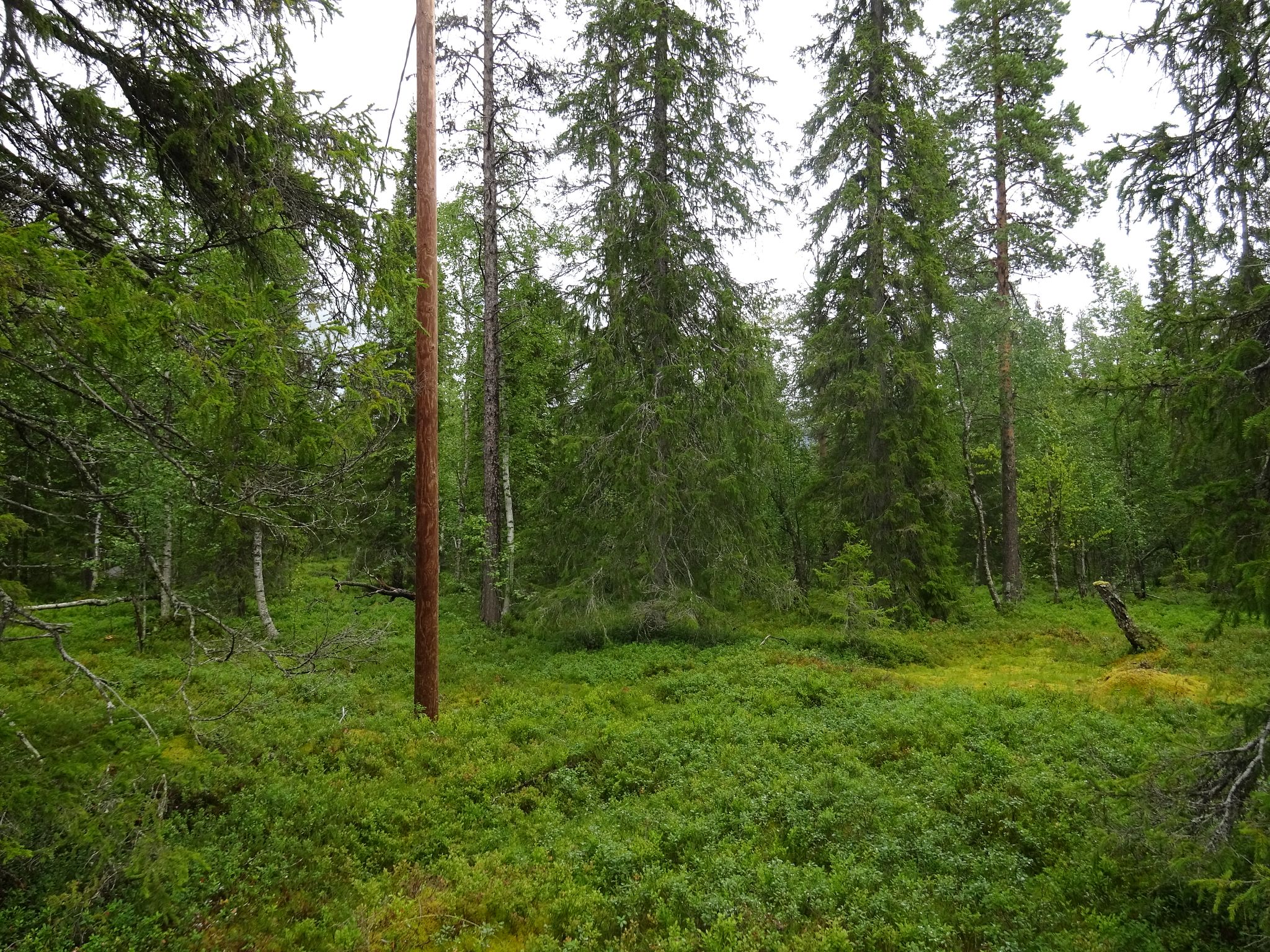 Image 7/11