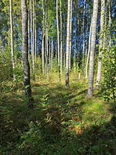Image 6/6