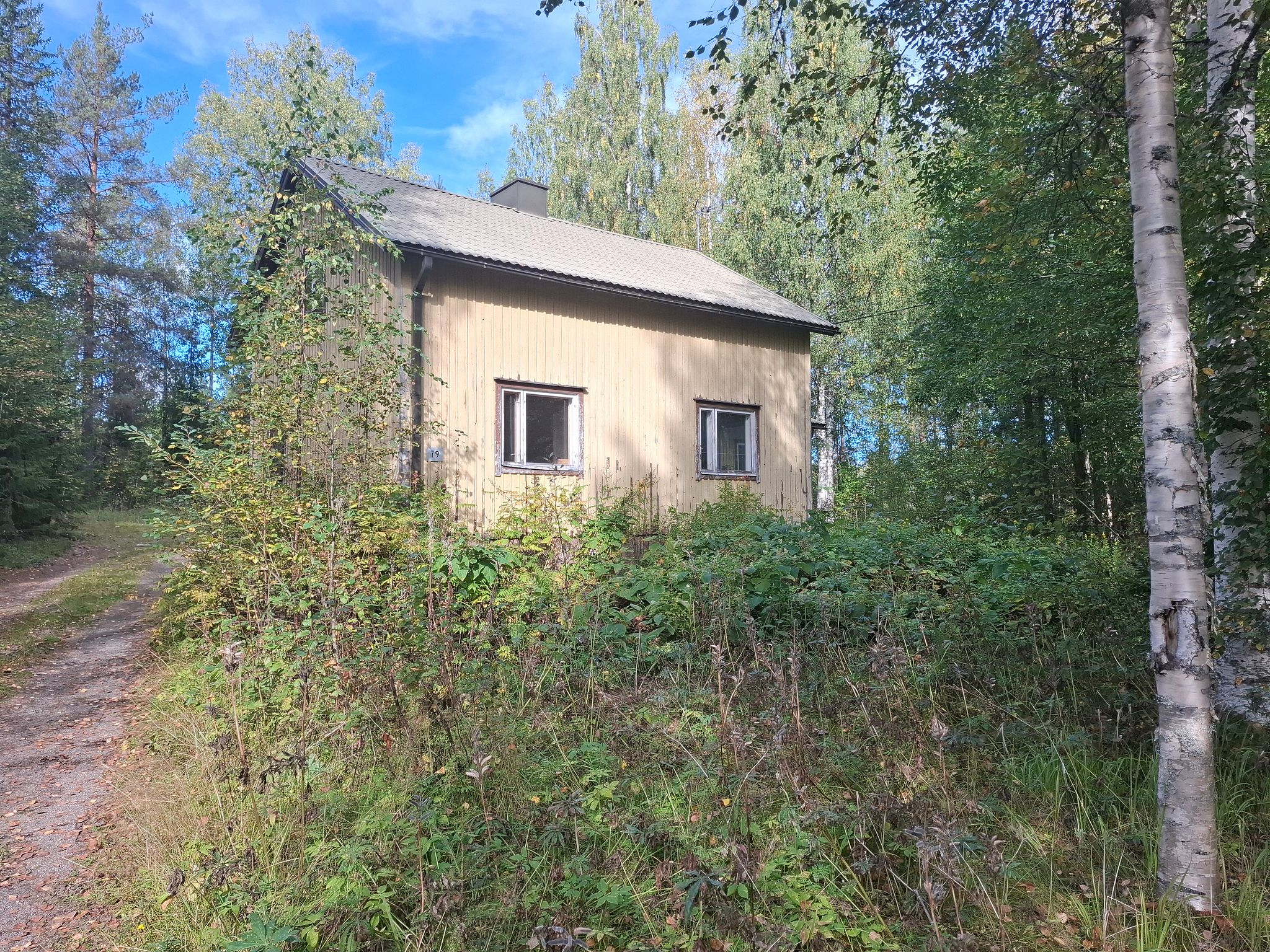 Image 1/11