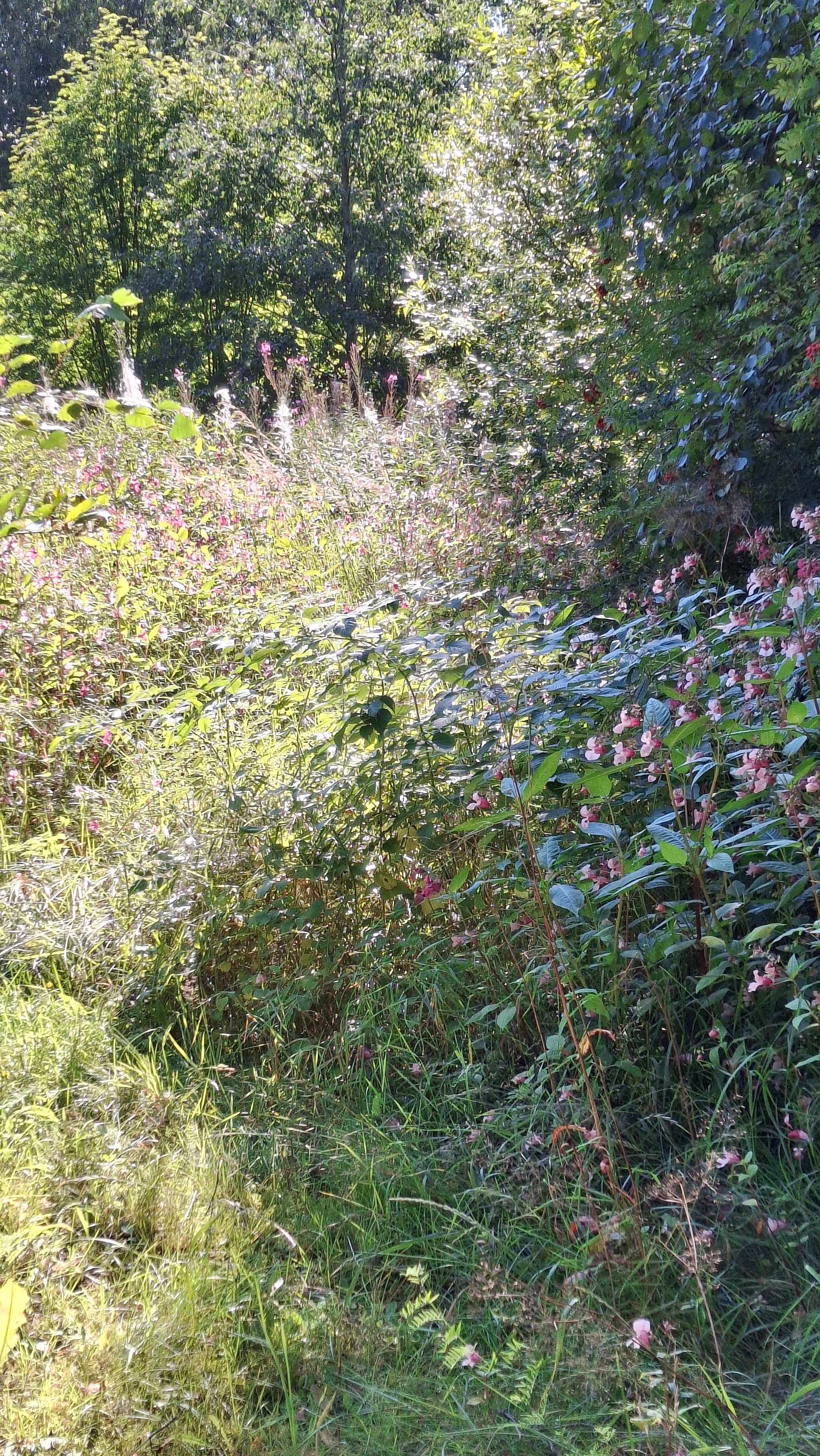 Image 78/80