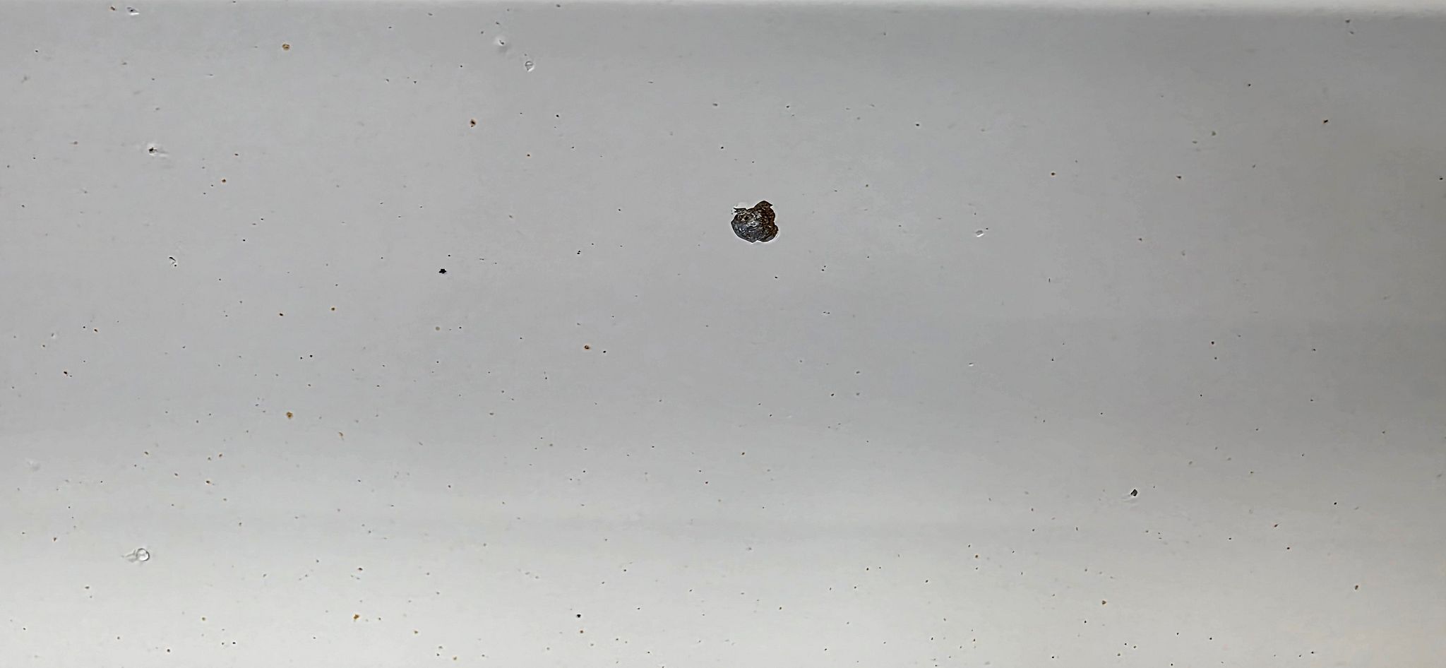 Image 12/37