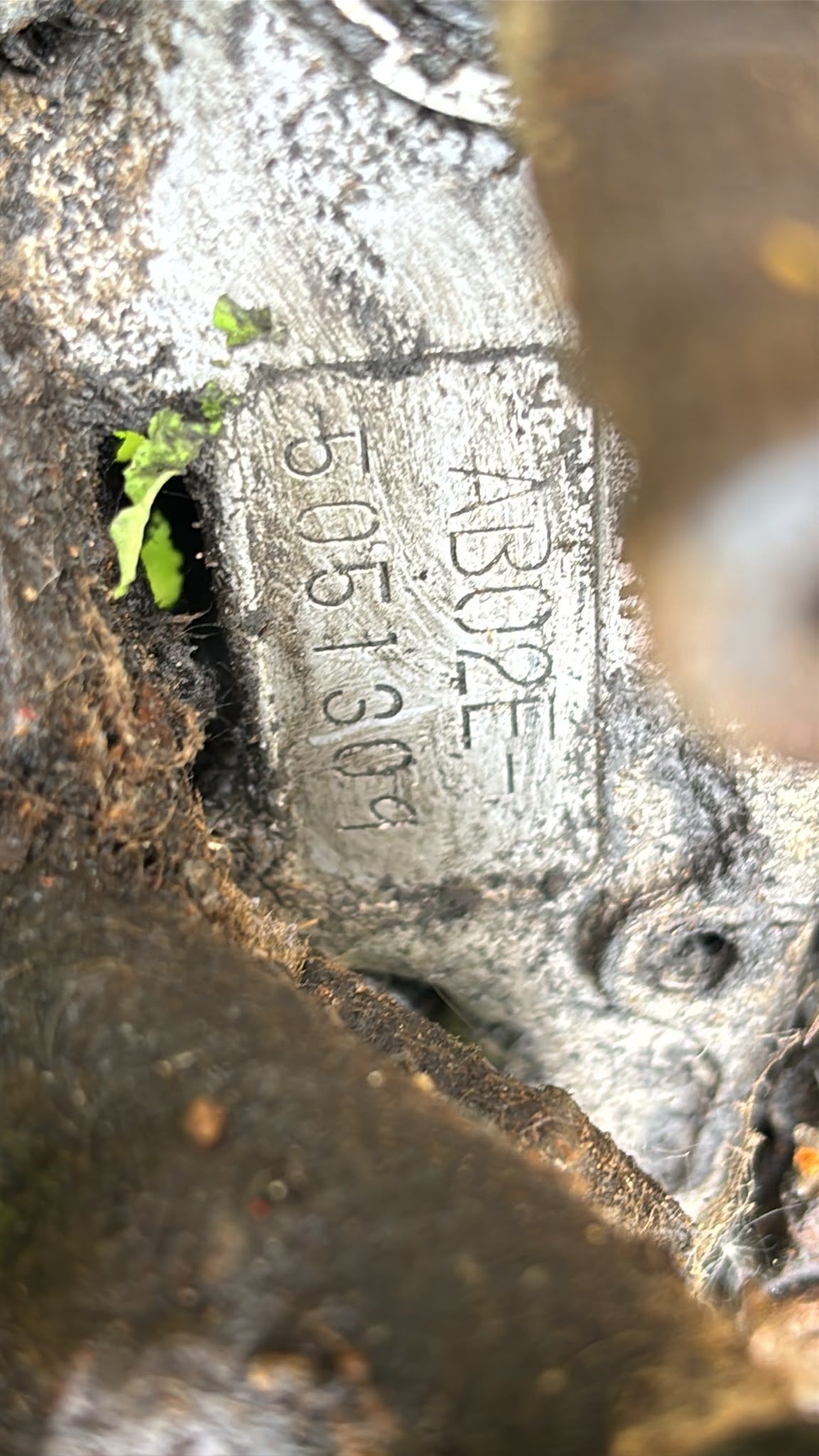 Image 4/7