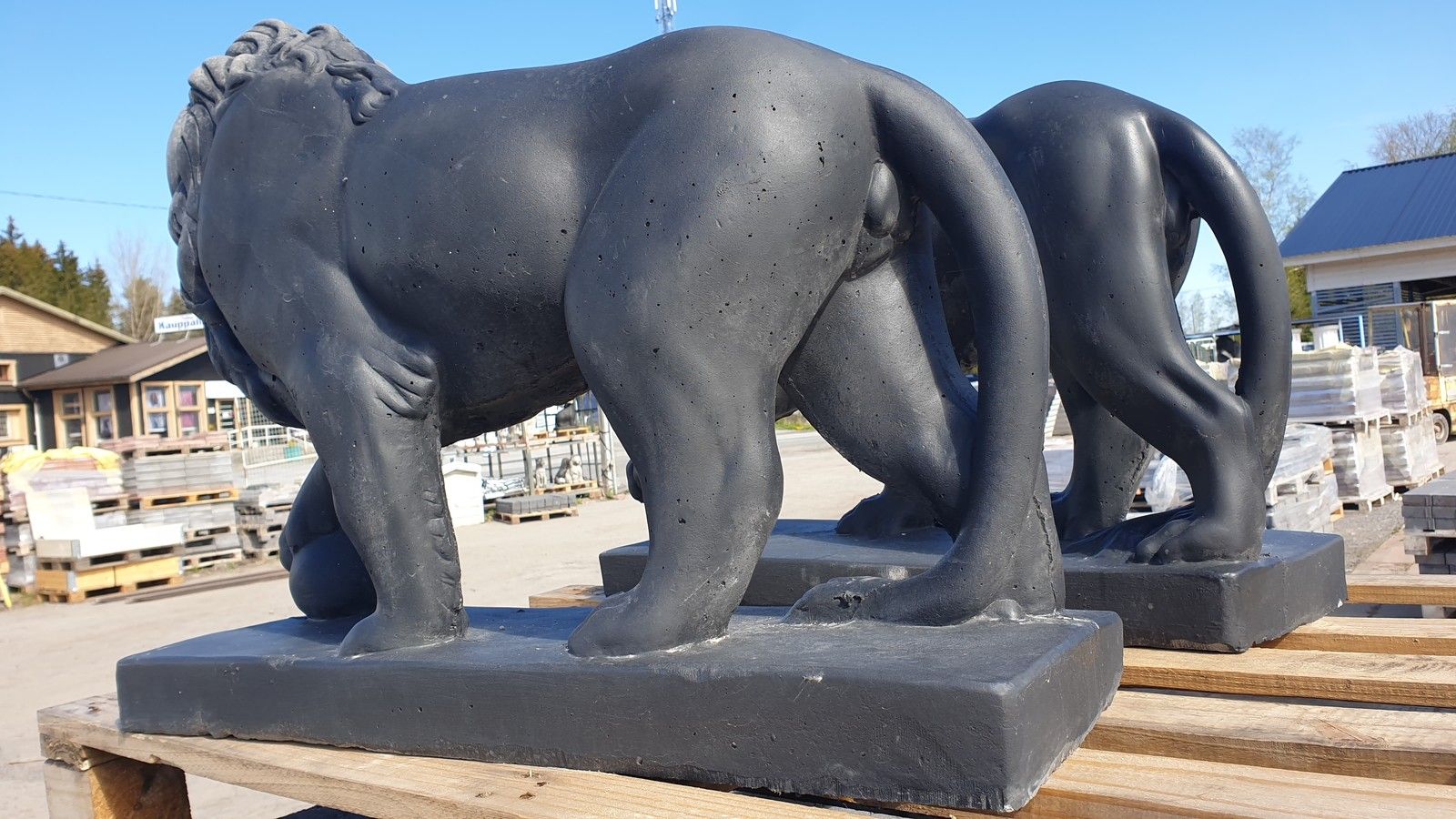 Kuva 11/11