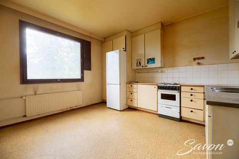 Image 1/19