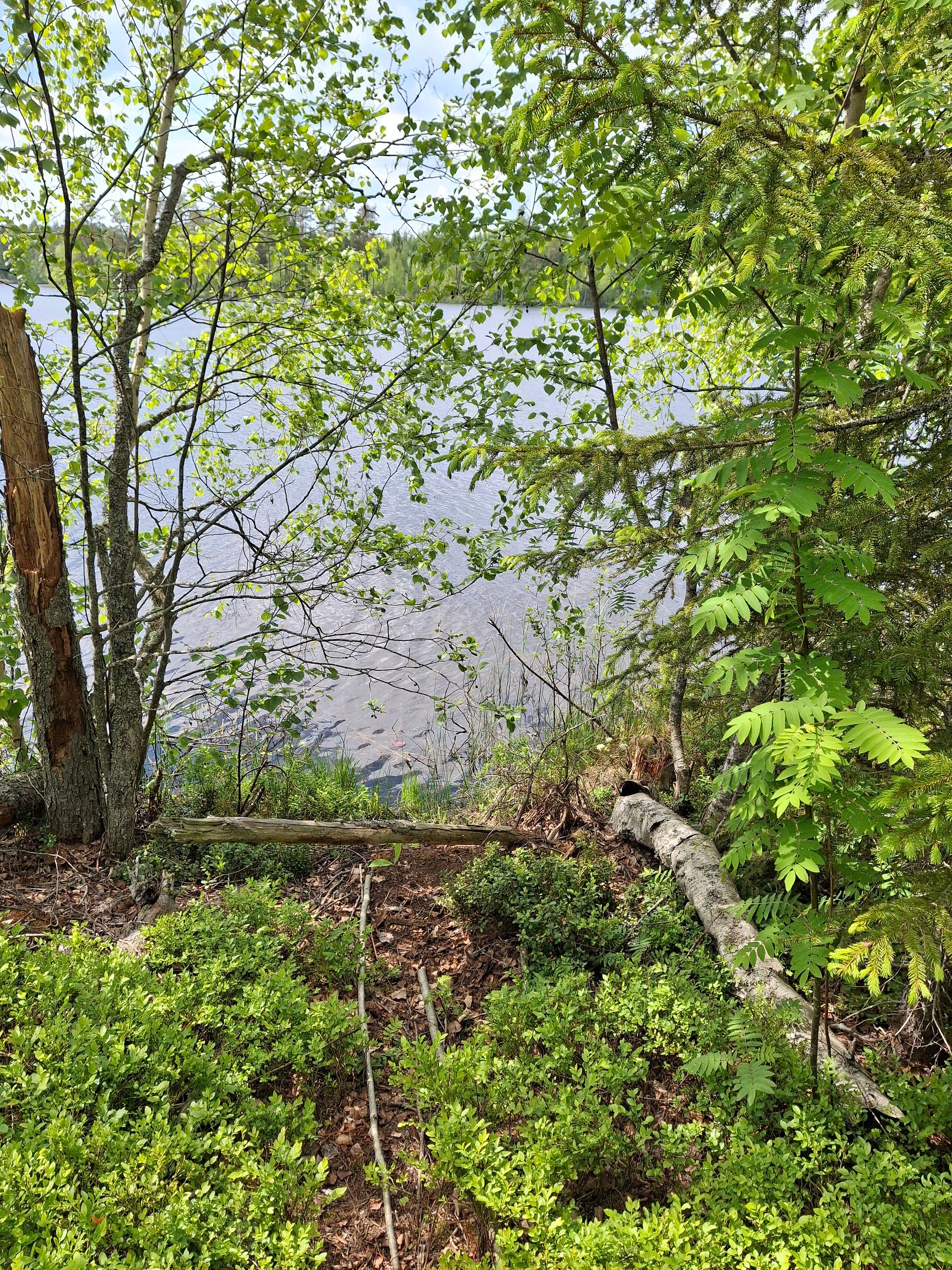 Image 11/17
