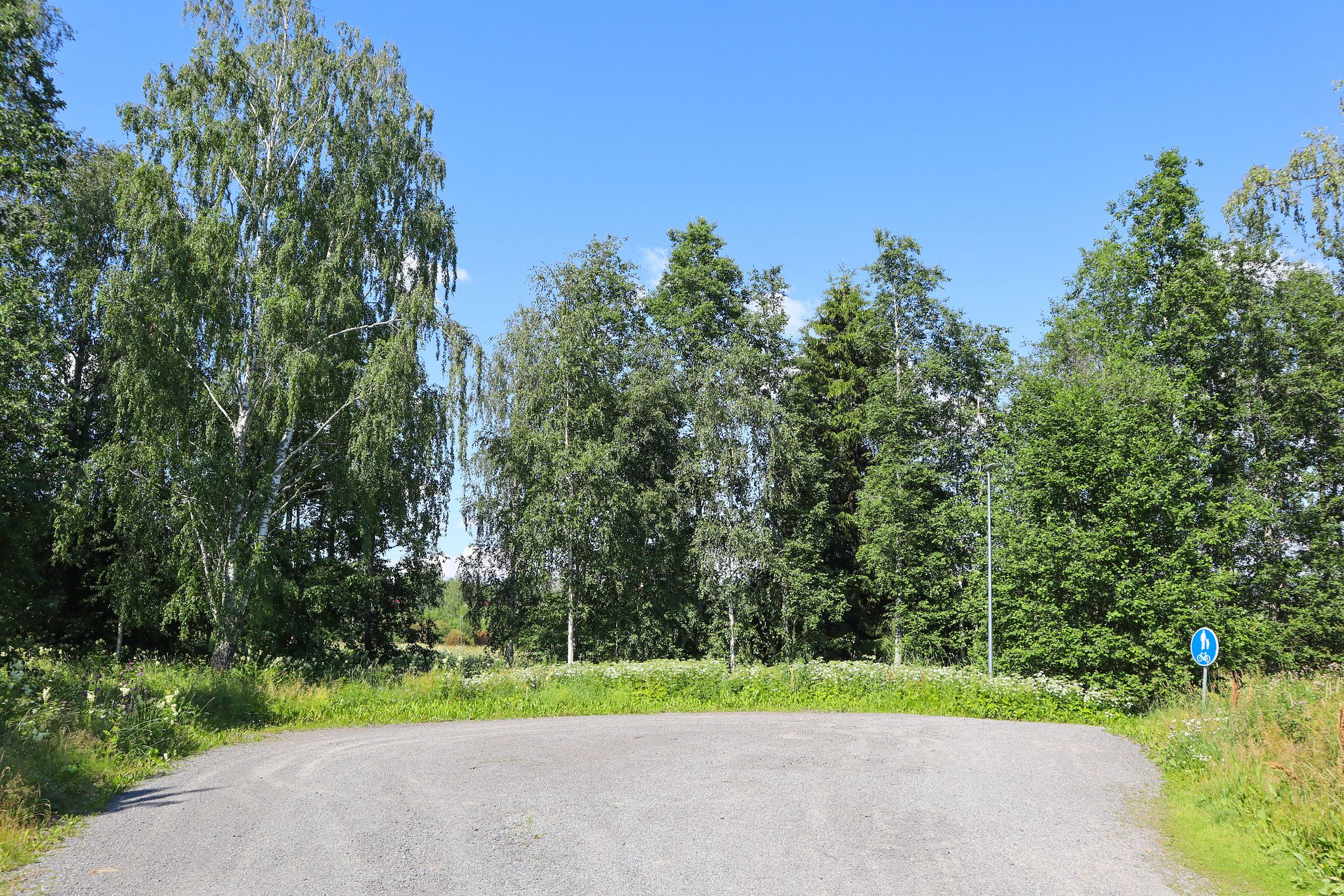Image 7/8