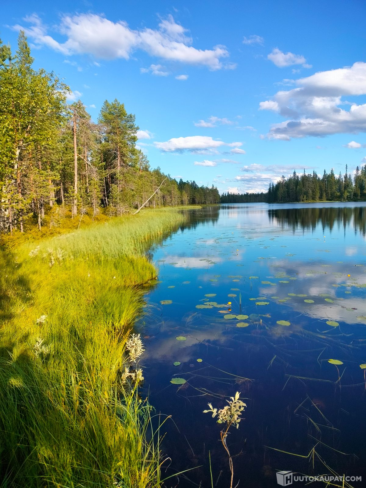 er-maa-j-rvenranta-palsta-reilu-7-5ha-posio-huutokaupat