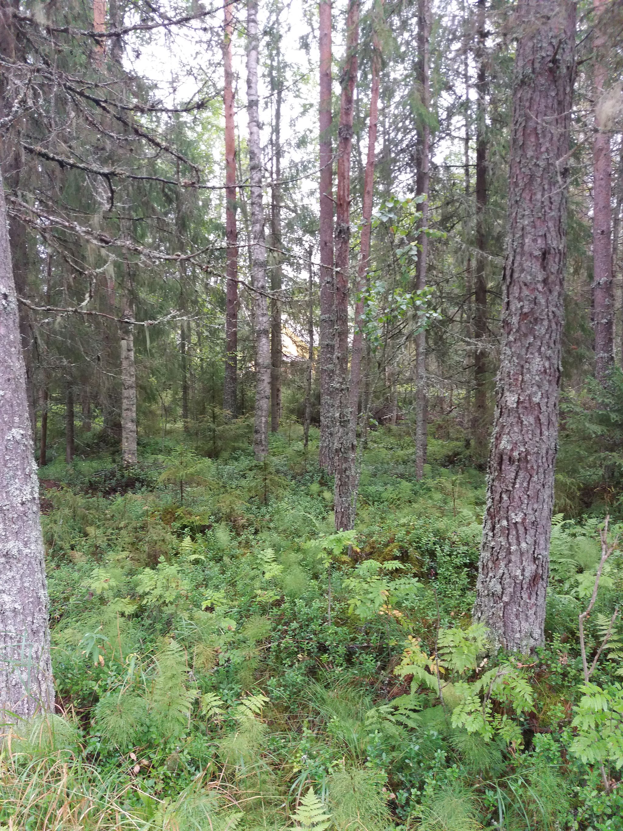 Image 11/21