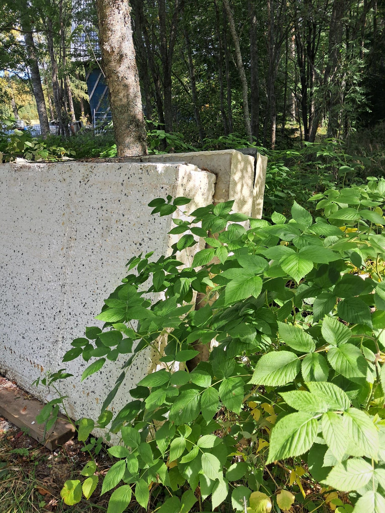 Image 6/6