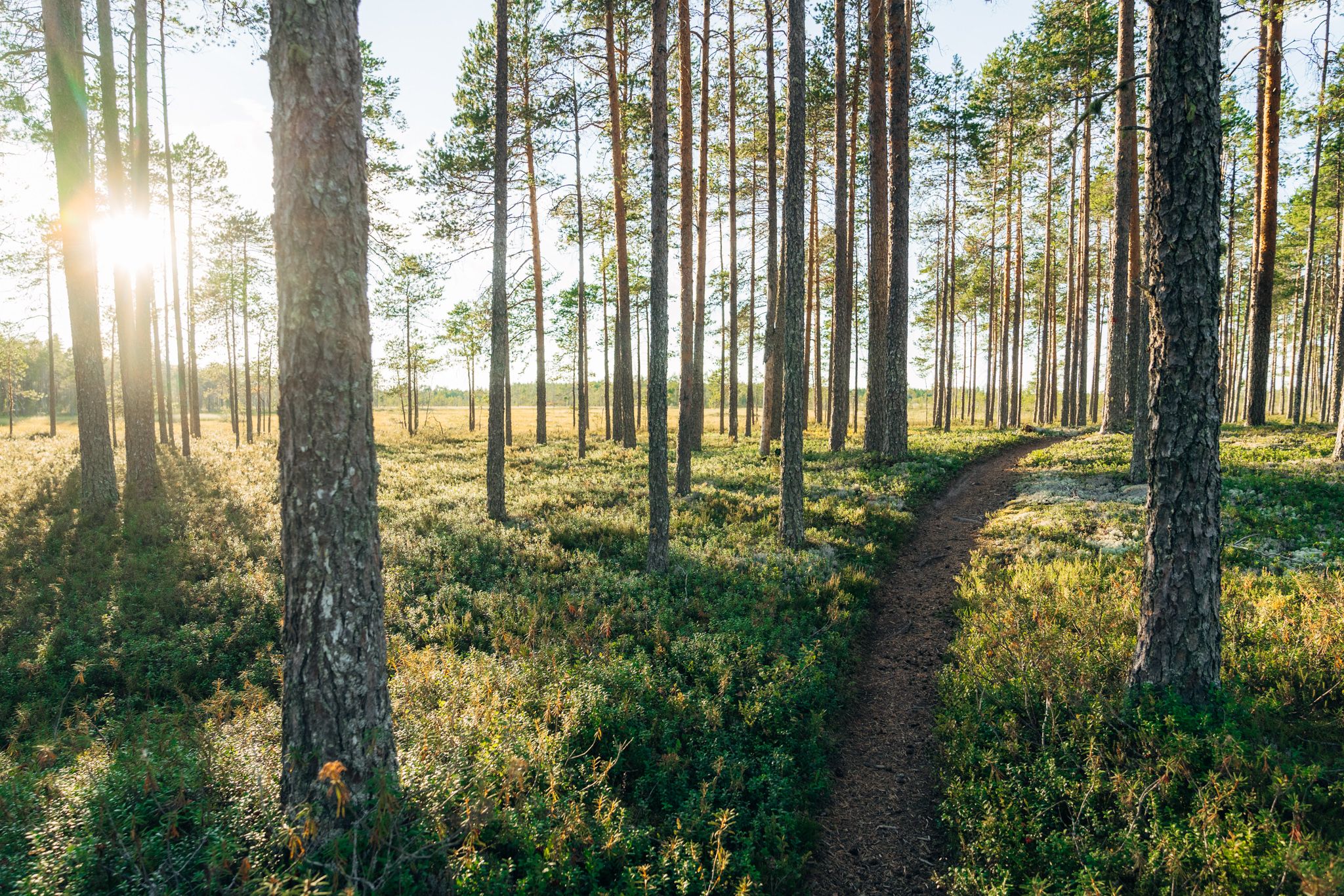 Kempeleen kunta maankäyttö kuva