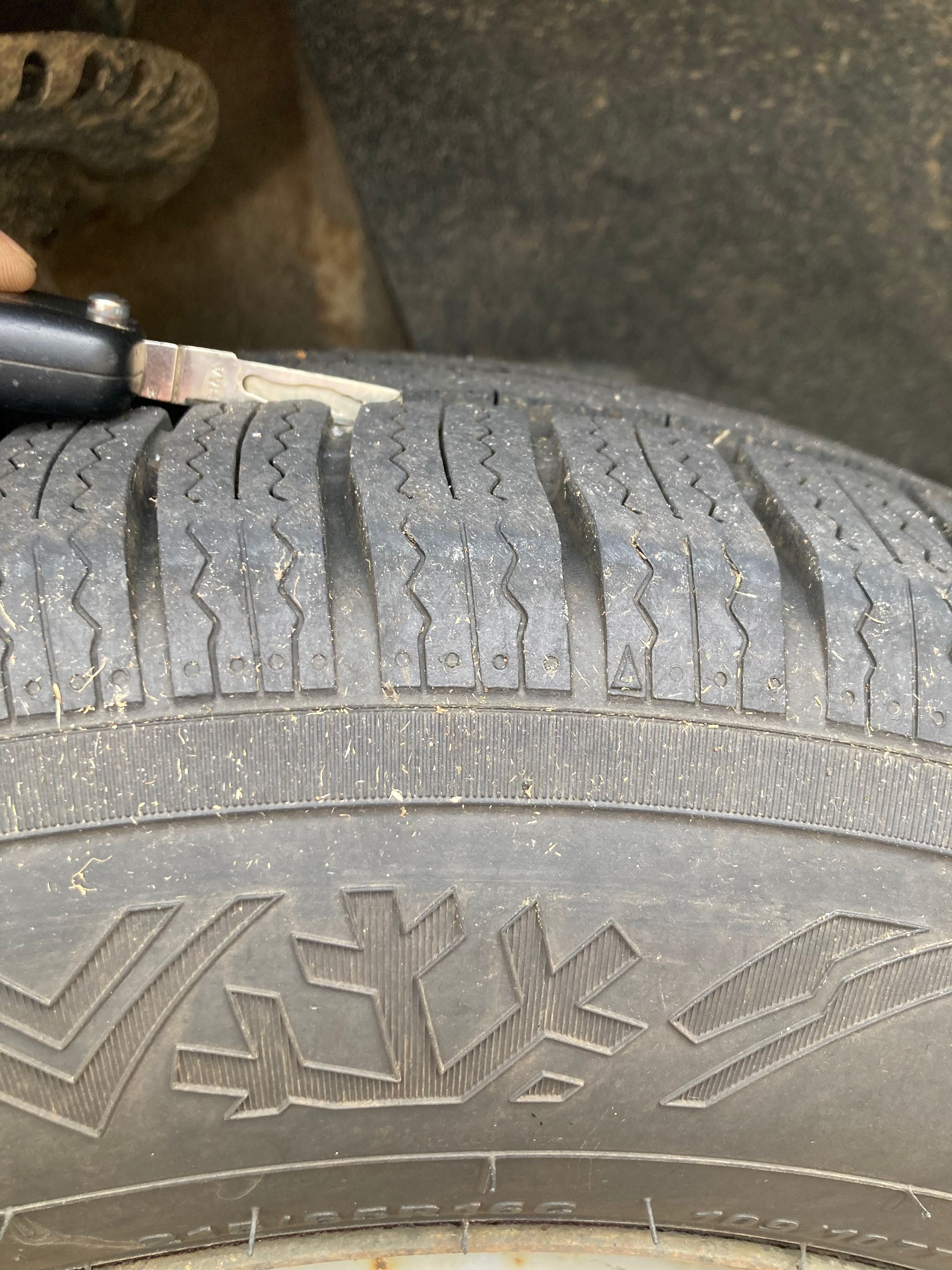 Kuva 24/24