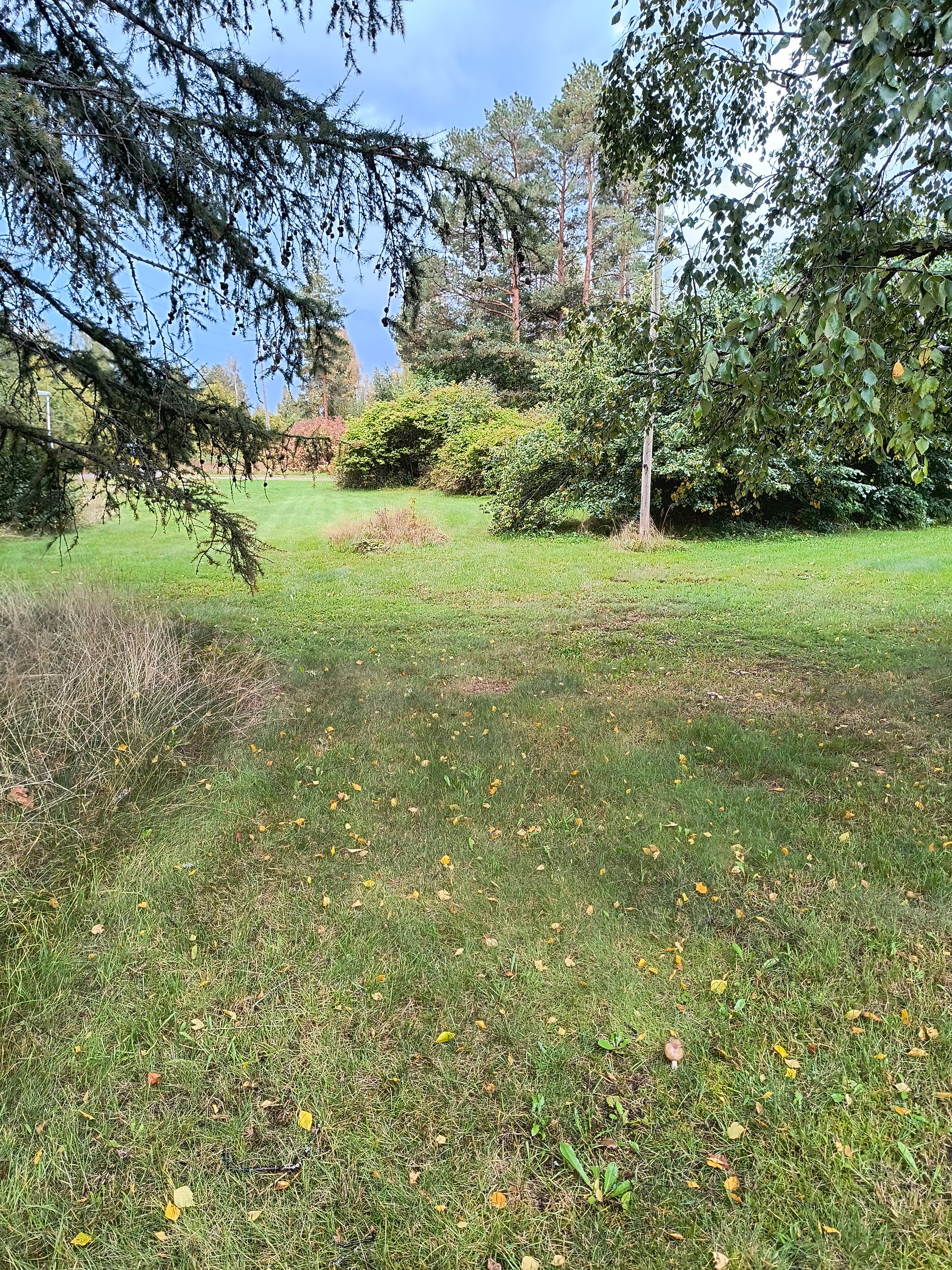 Image 47/64