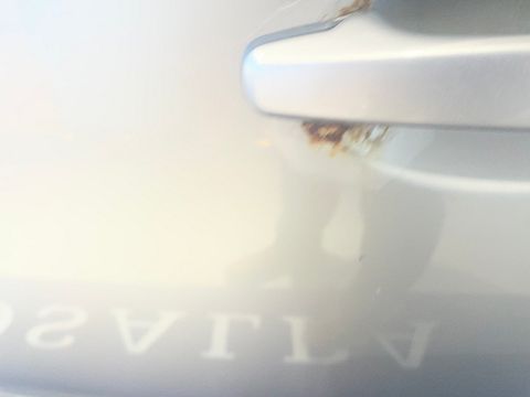 Image 11/38