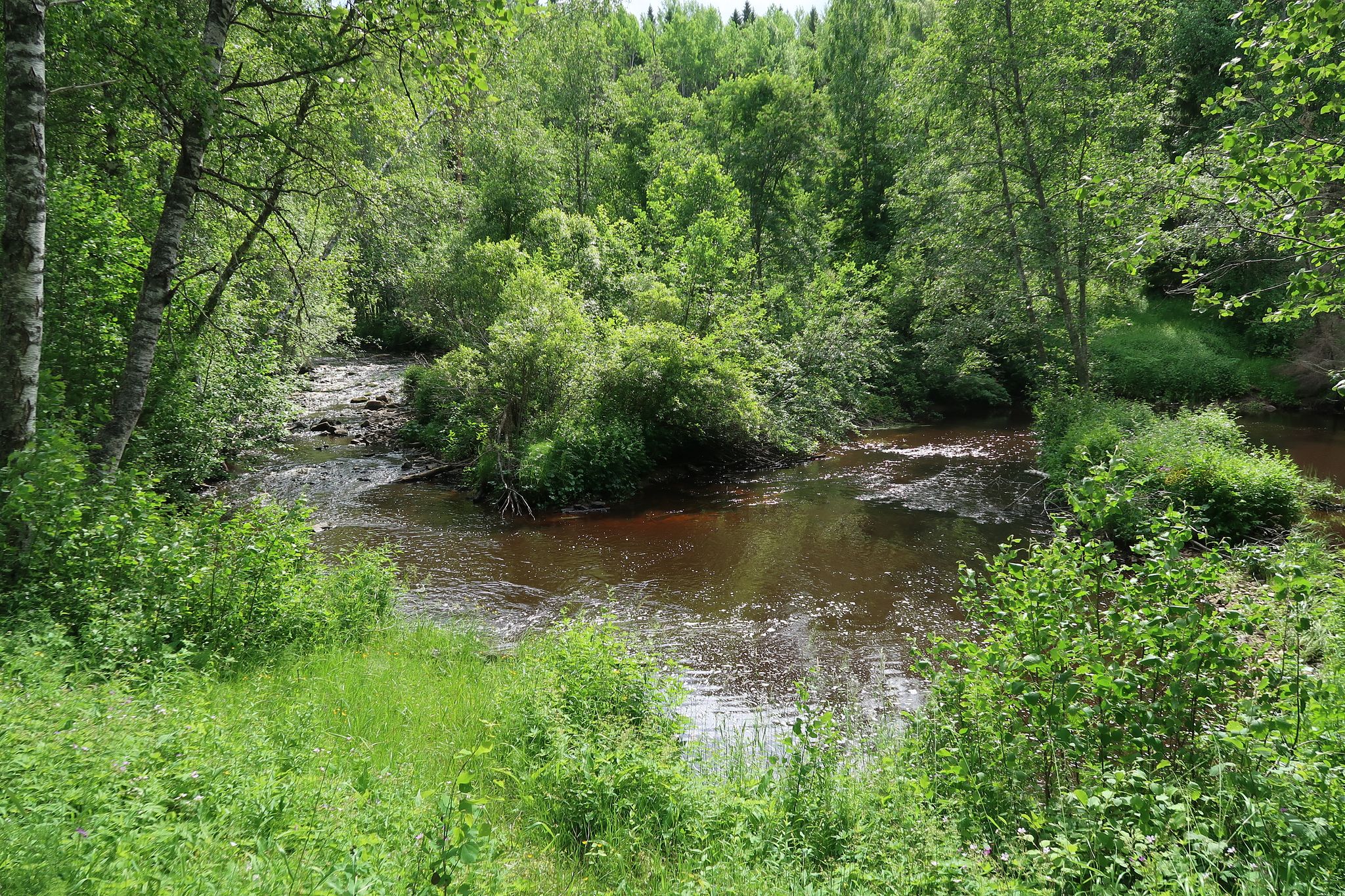 Image 23/25