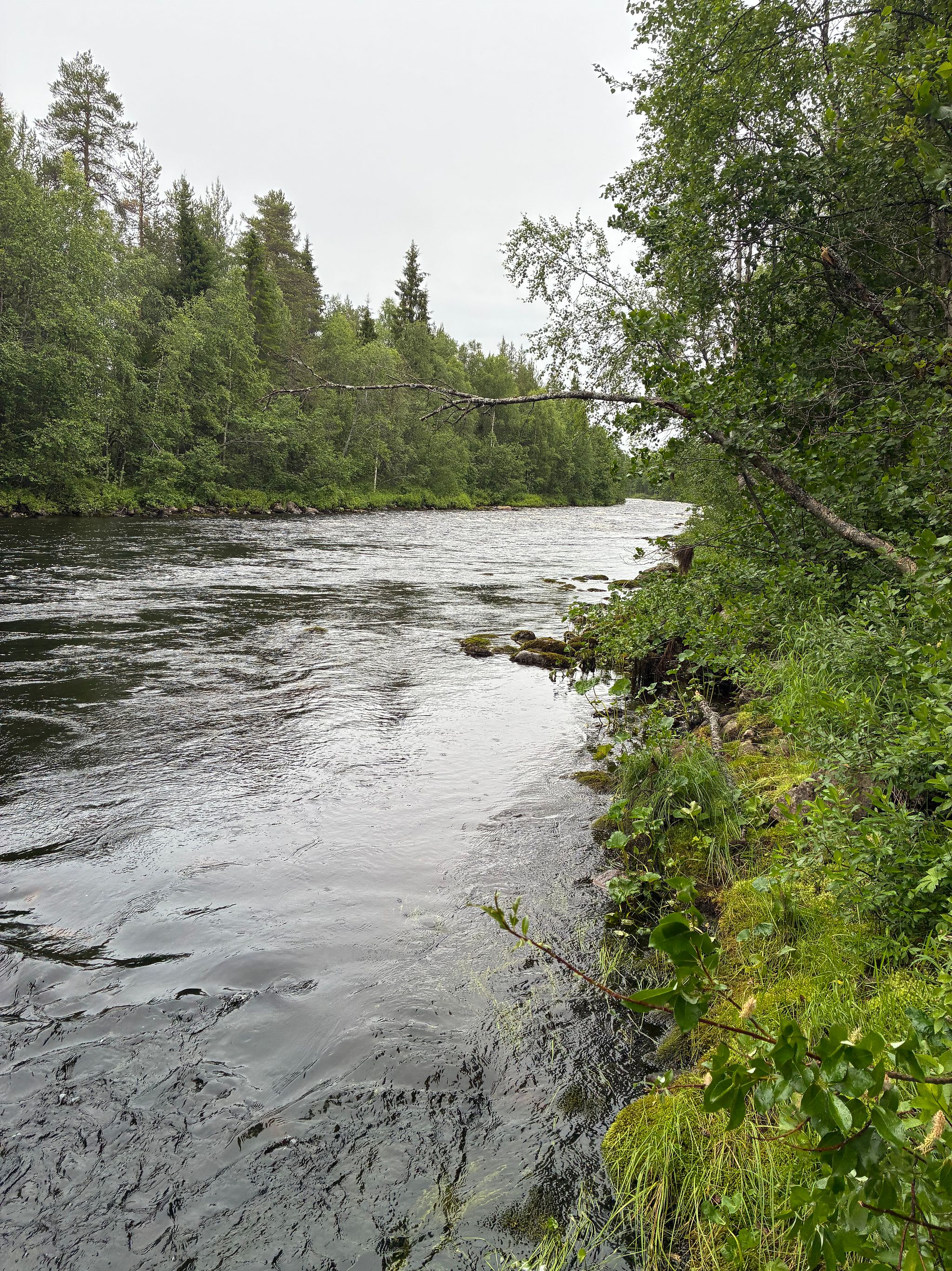Image 31/34
