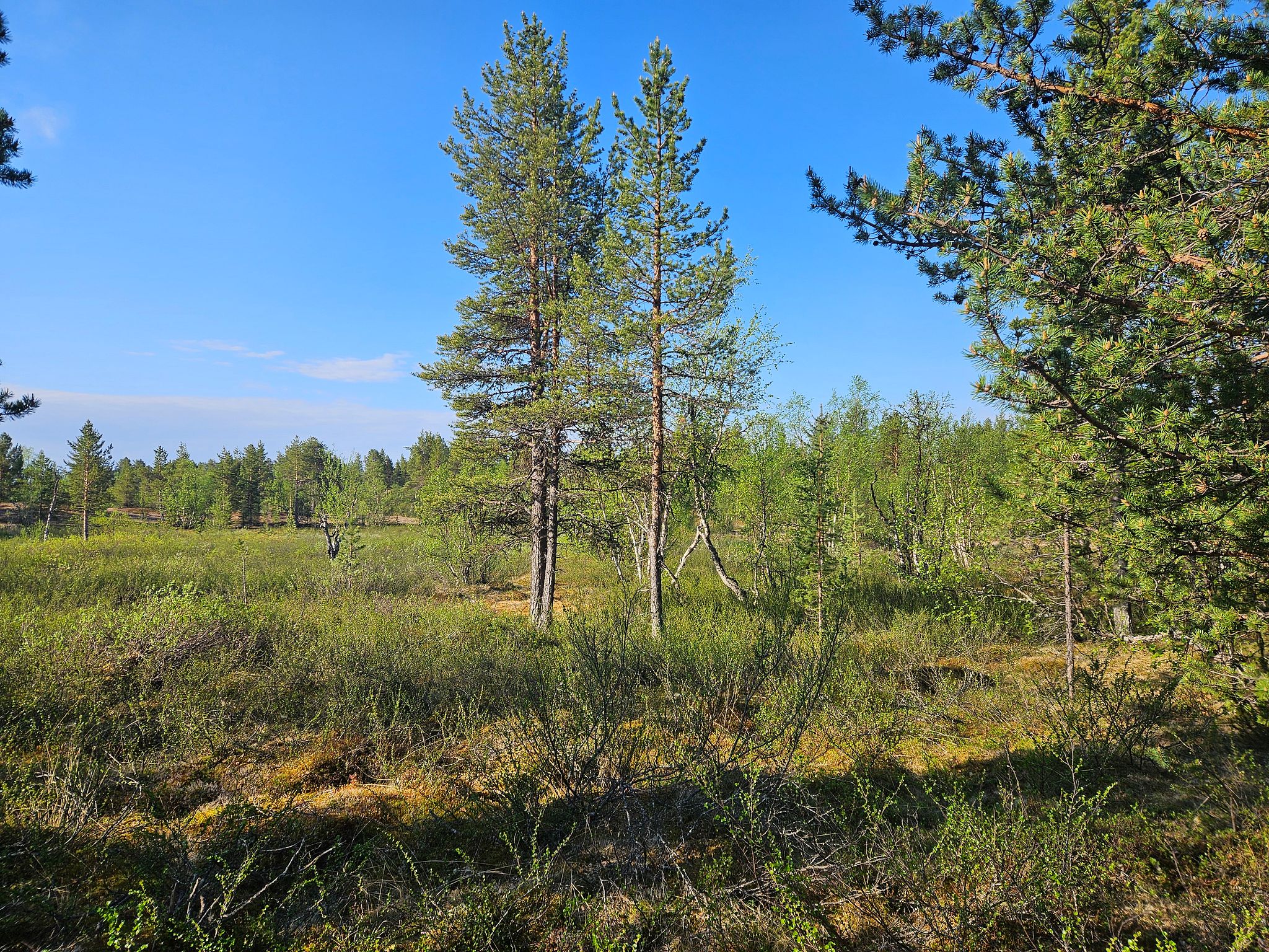 Image 10/13