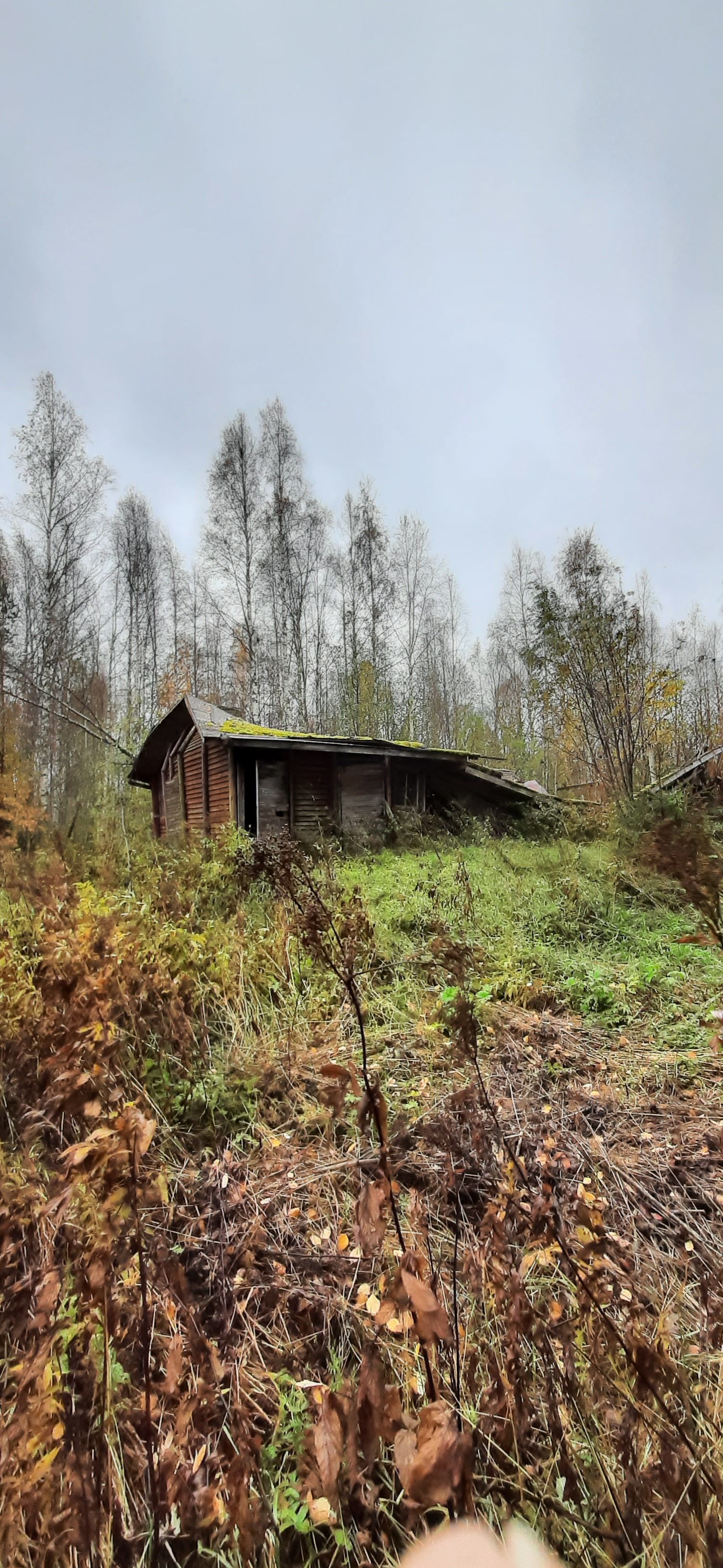 Image 4/46