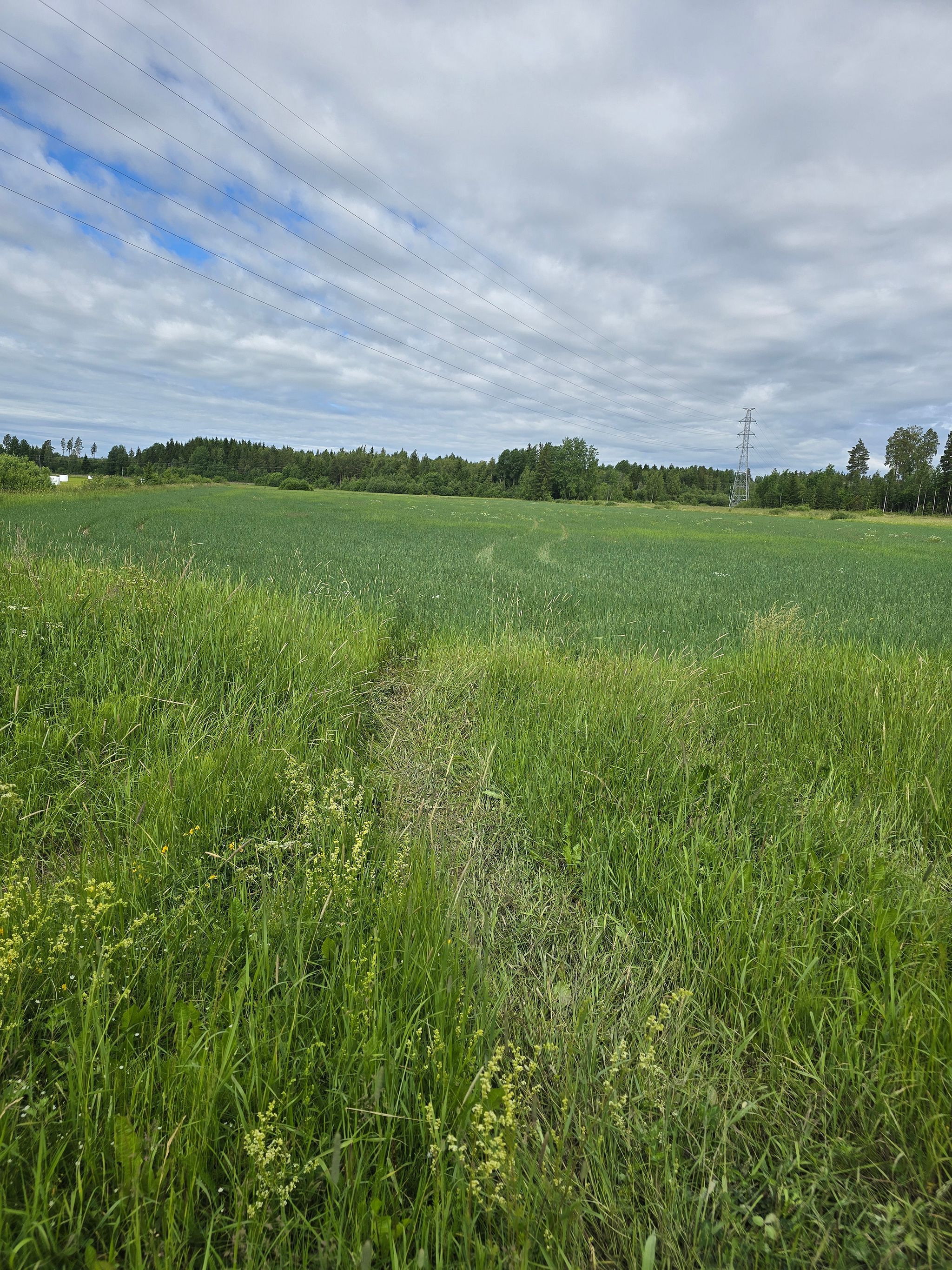 Image 18/20