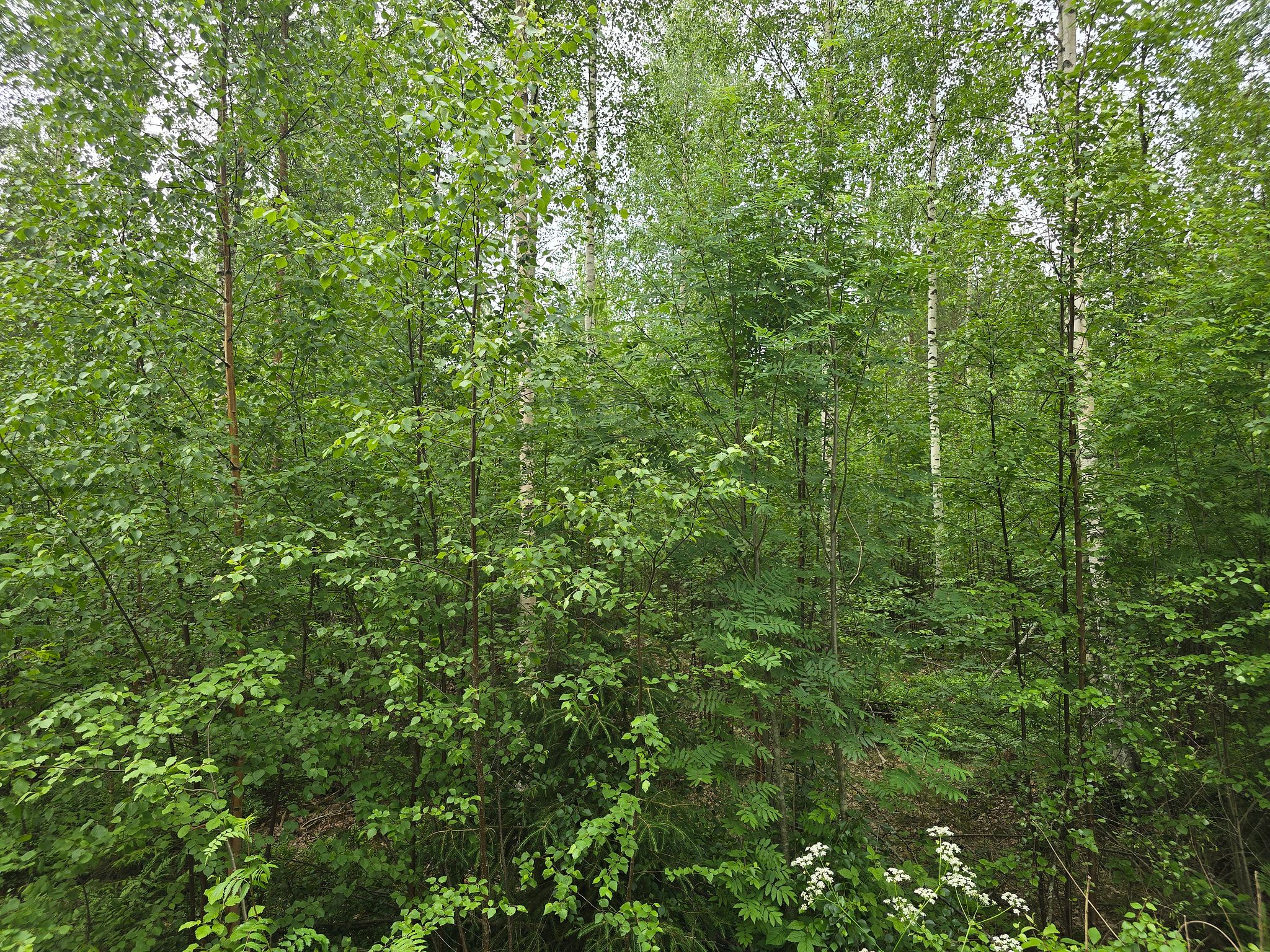 Image 16/20
