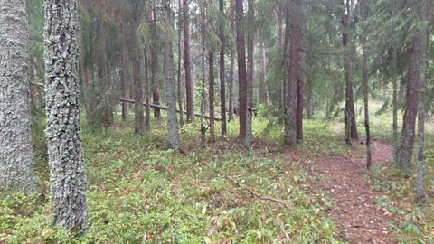 Image 10/11