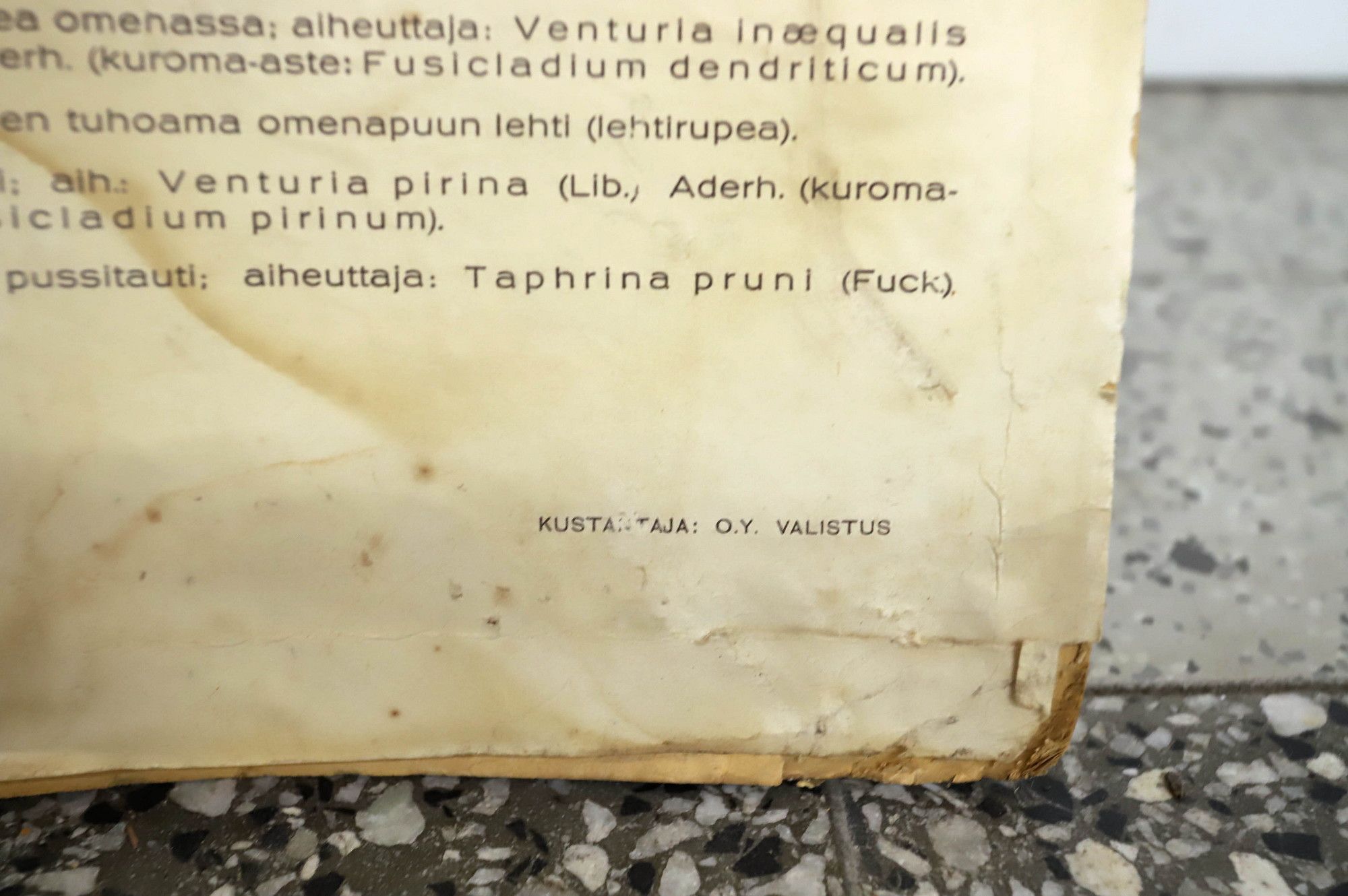 Image 6/23