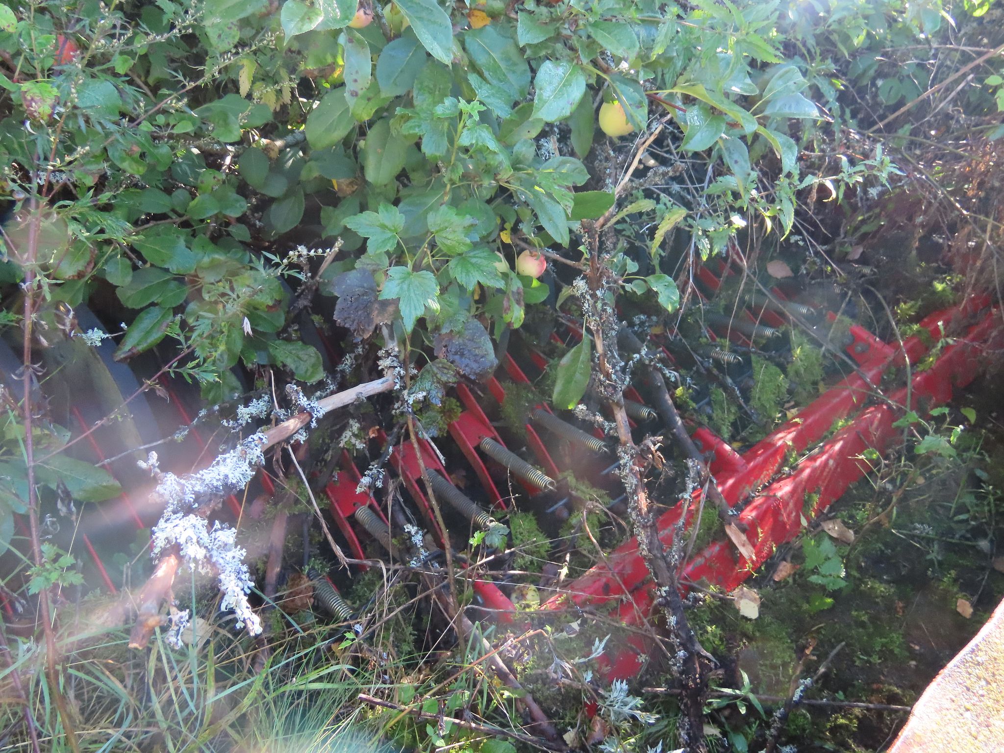 Image 12/14