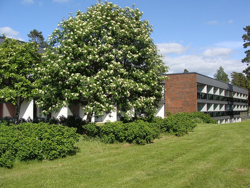 Image 9/23
