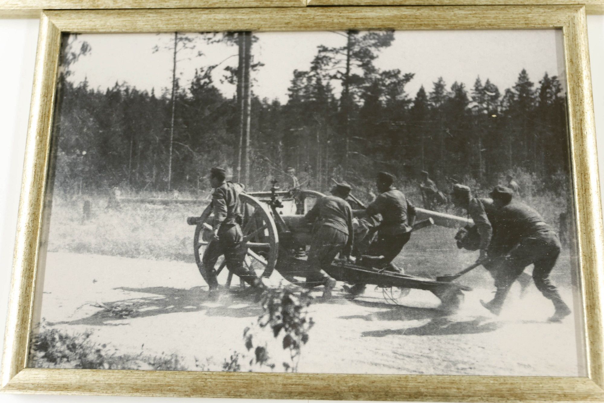 Image 9/10