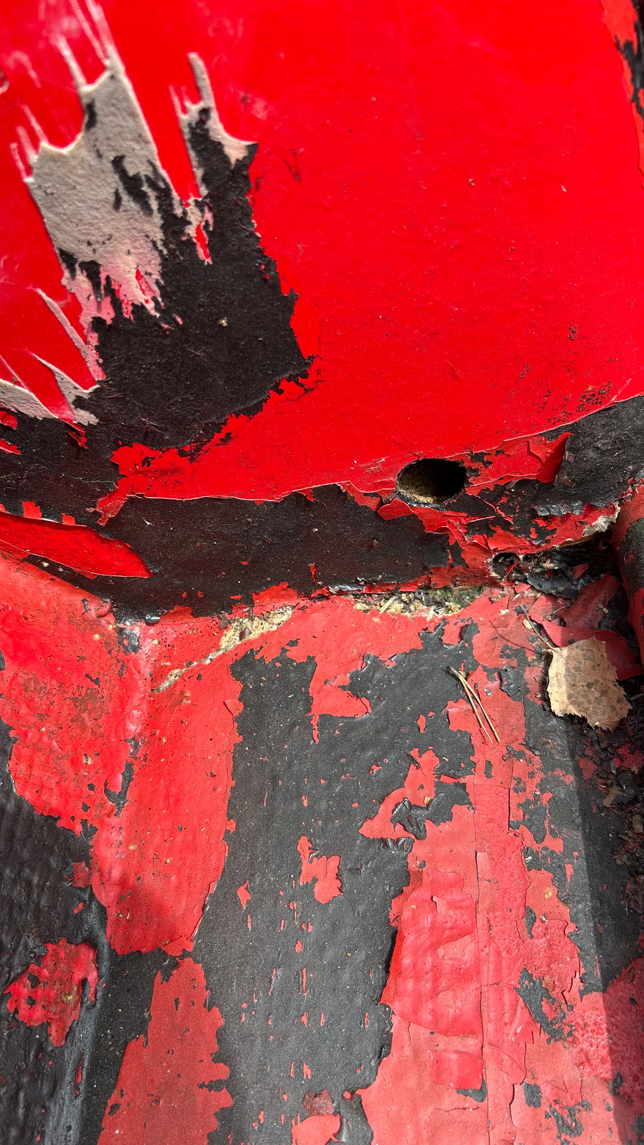 Image 19/21
