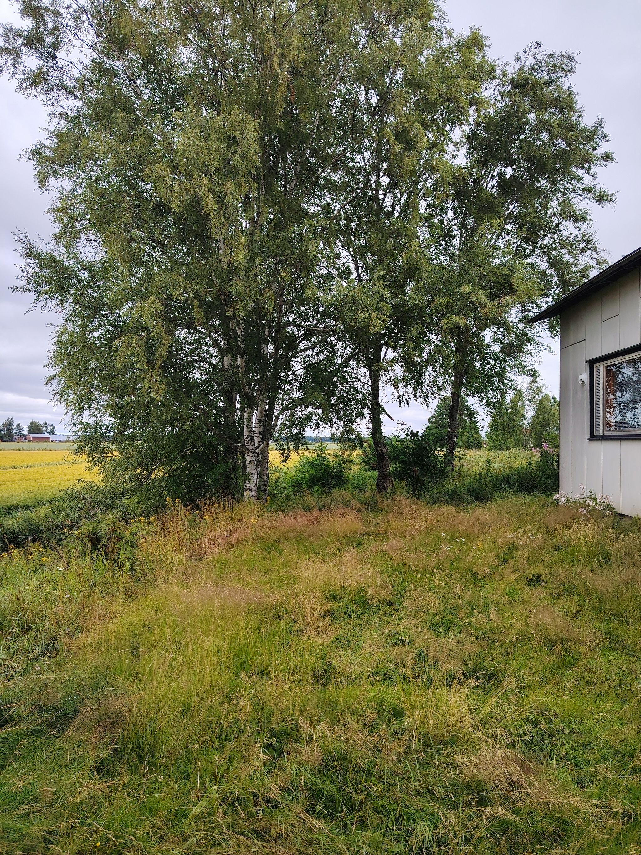 Image 6/61
