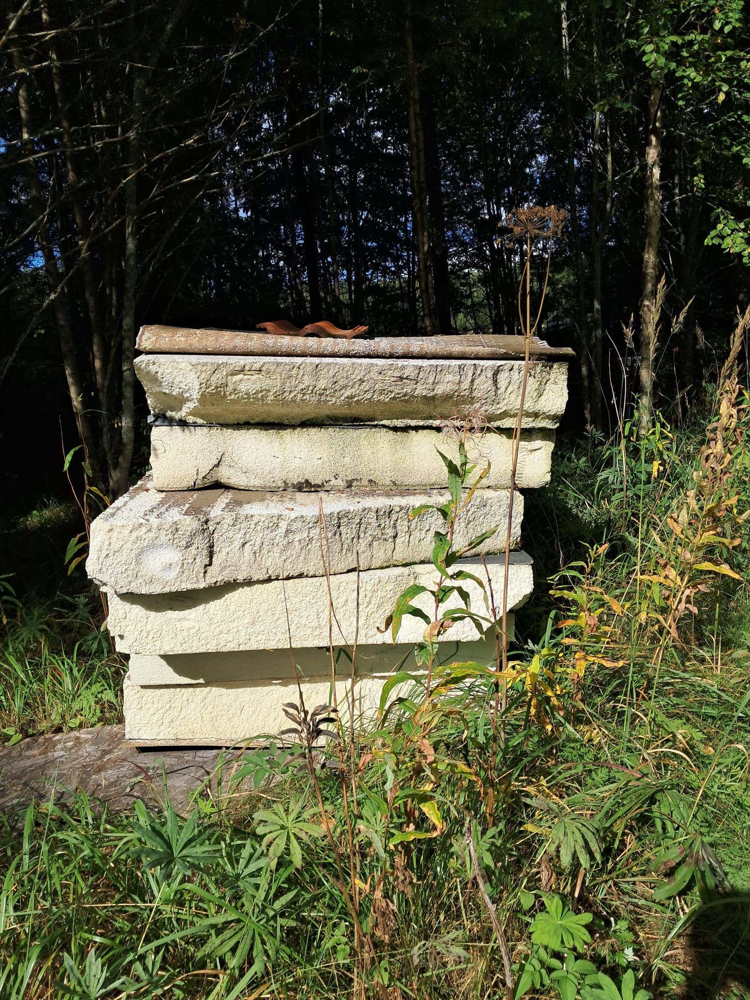 Image 3/6