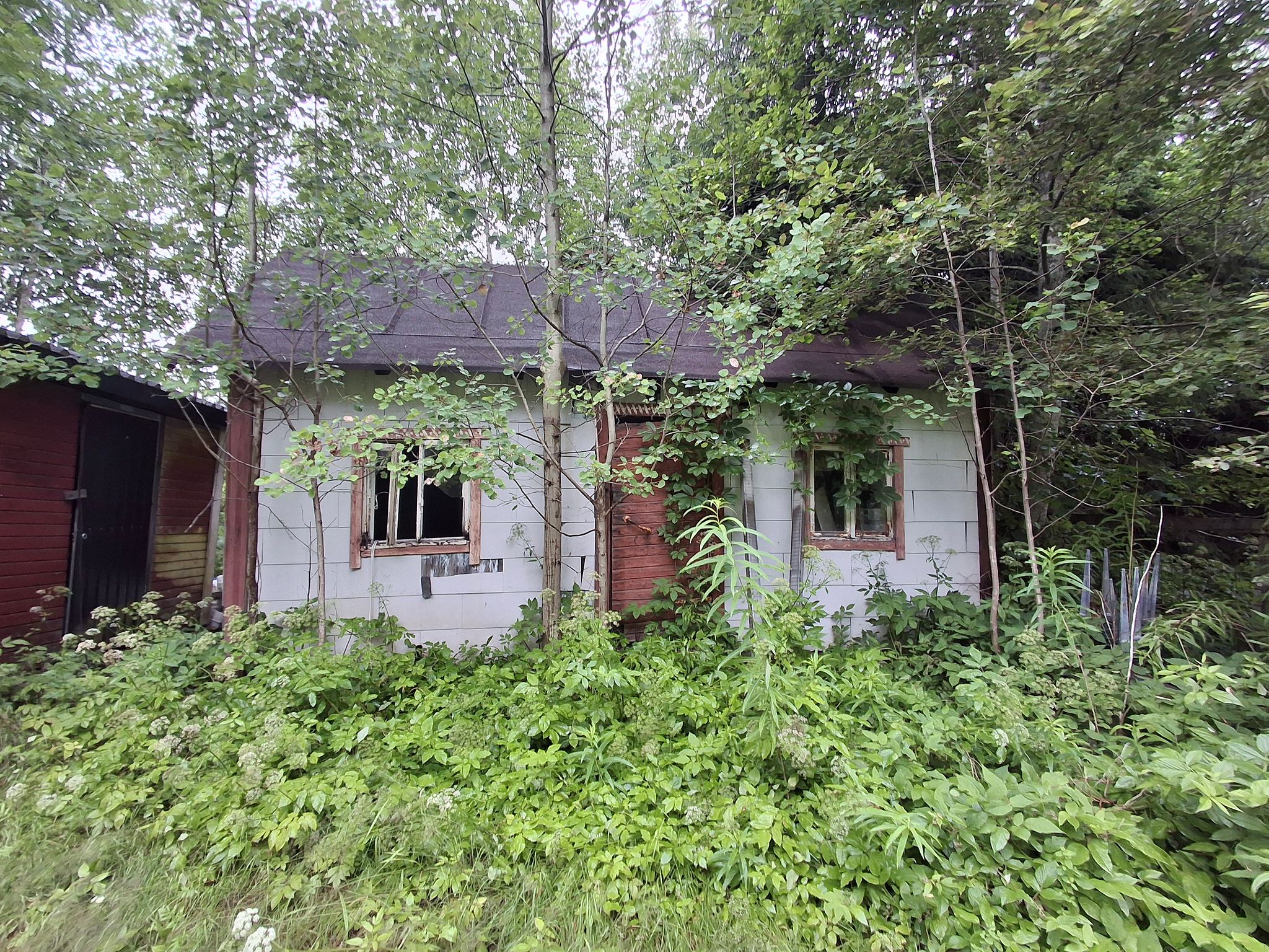 Image 24/26