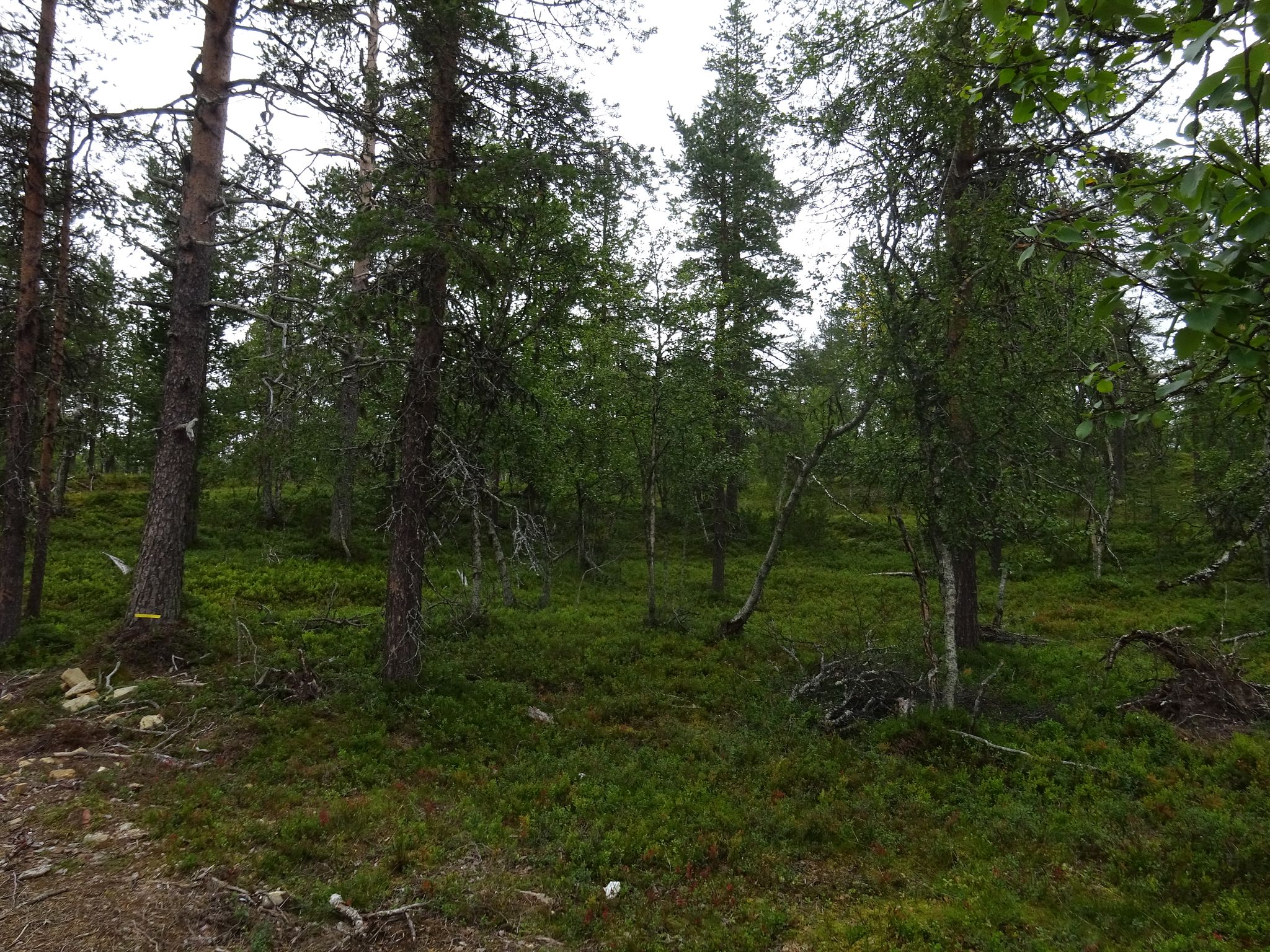 Image 8/9