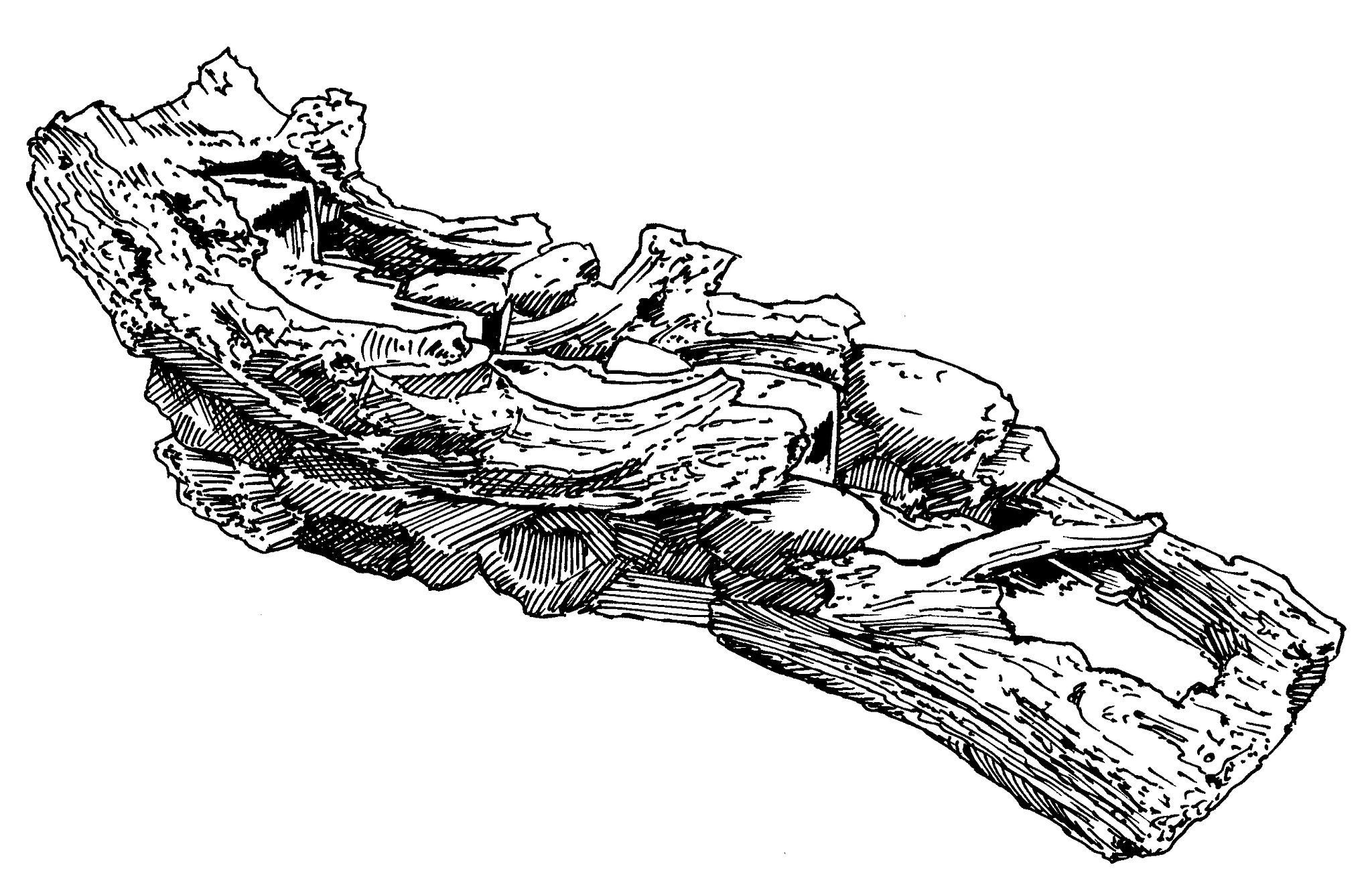 Image 4/4