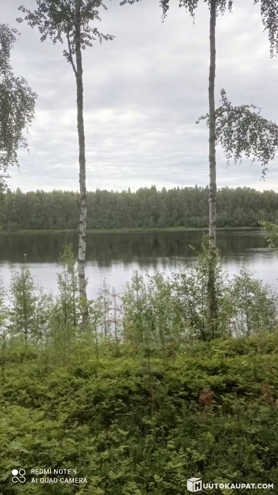 Image 8/8