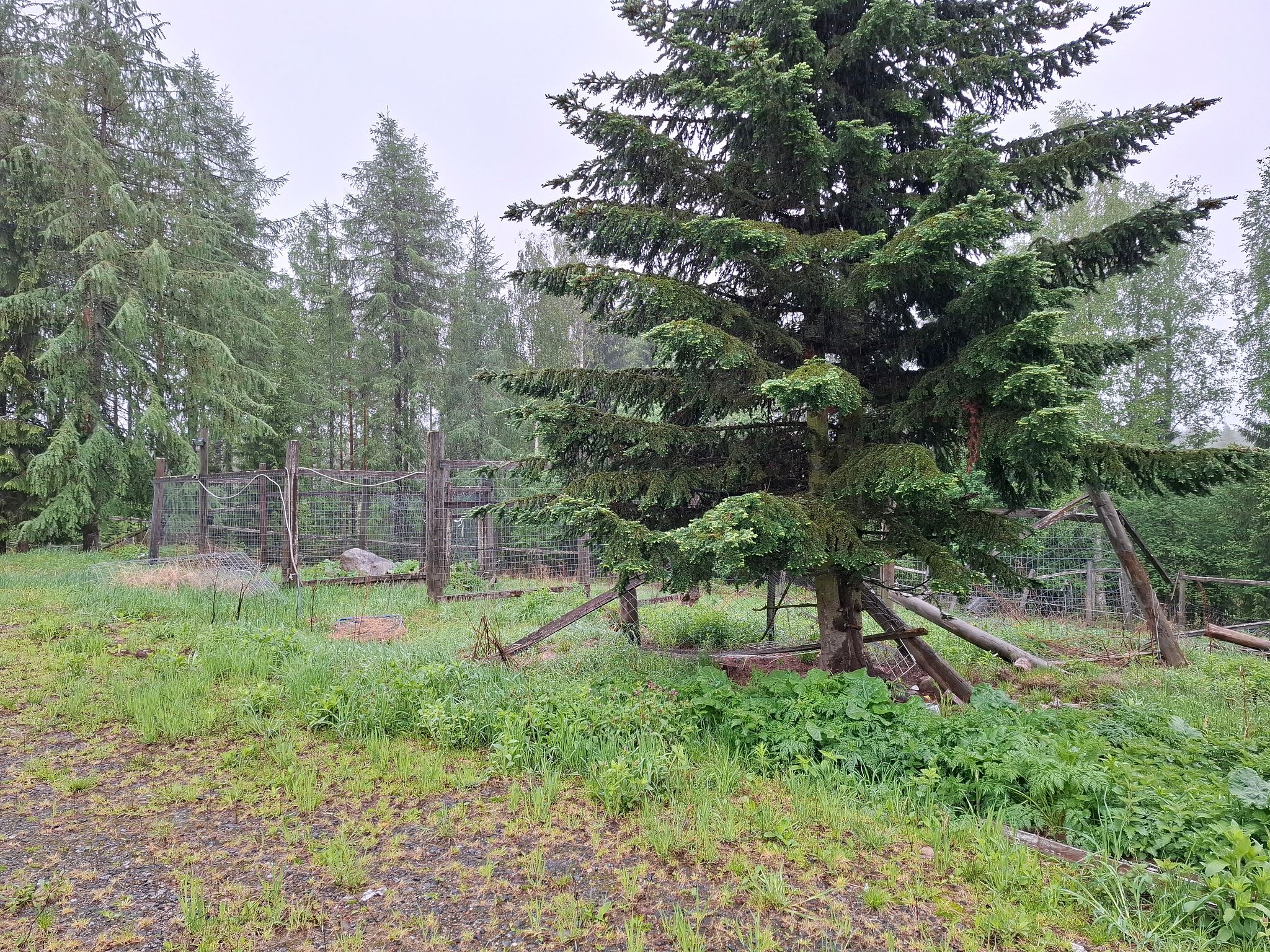 Image 3/40